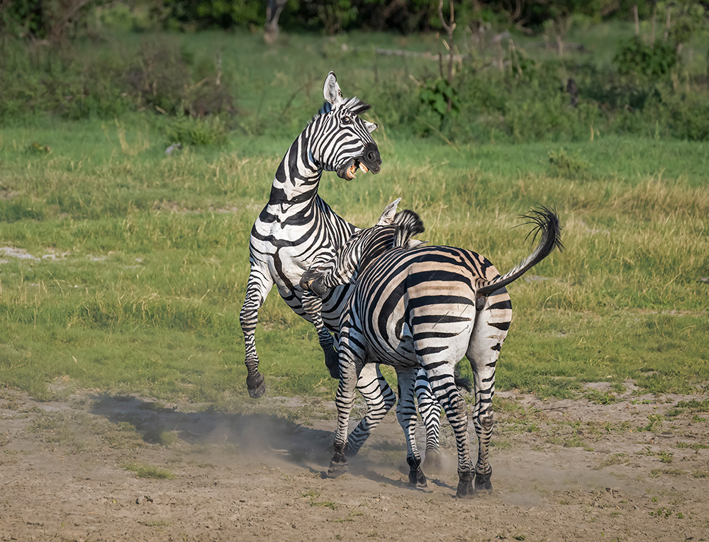 Botswana