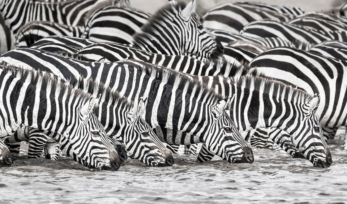Tanzania