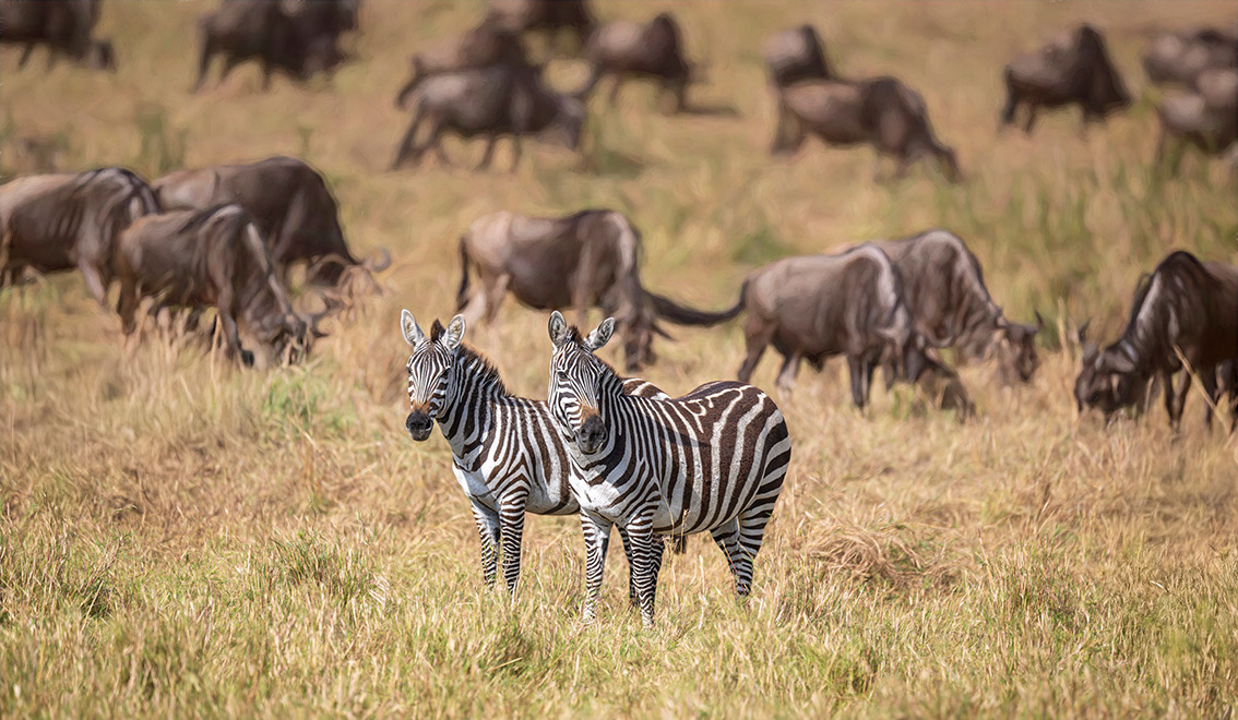 Kenya