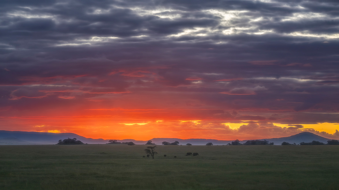 Big Sunset Sky, Small Elephants