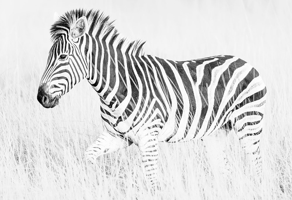 Botswana