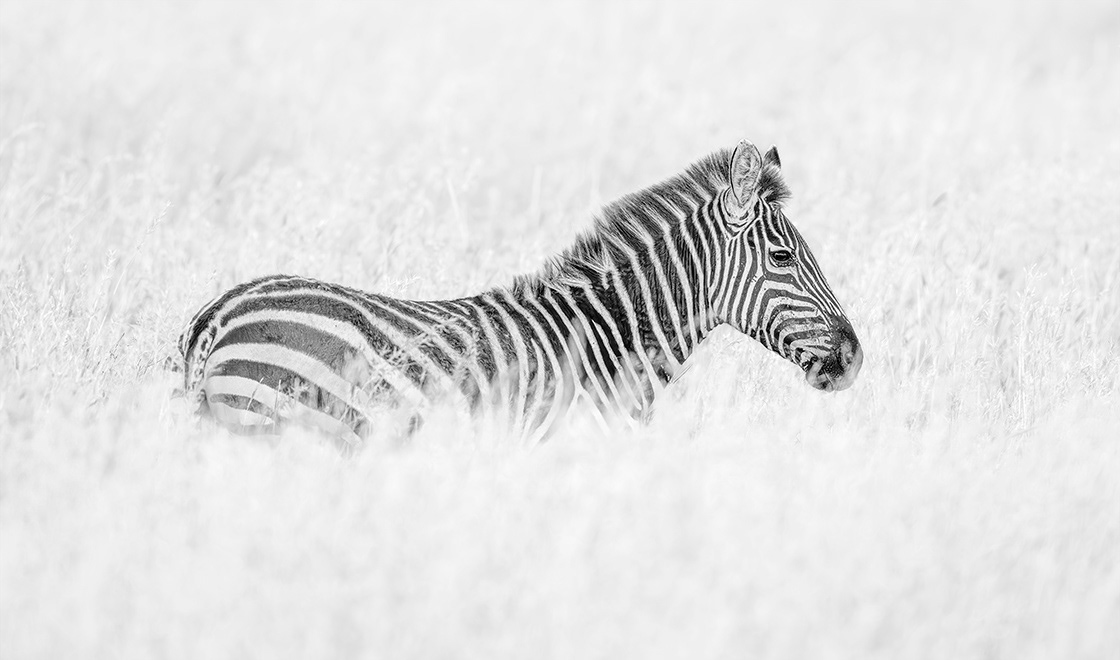 Tanzania