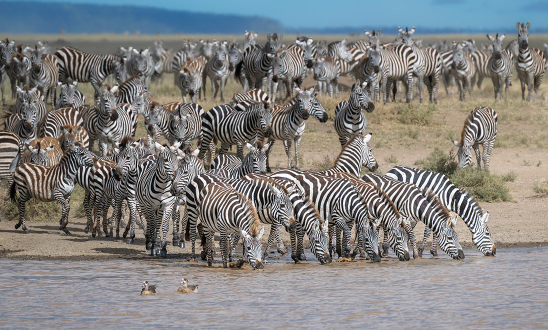 Tanzania