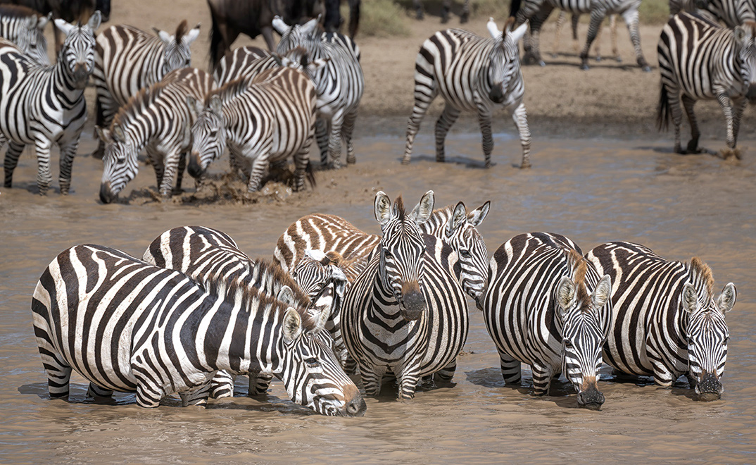 Tanzania