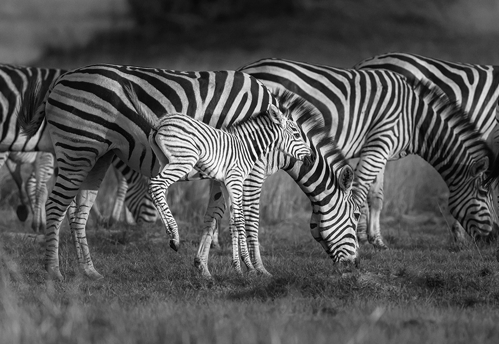 Botswana