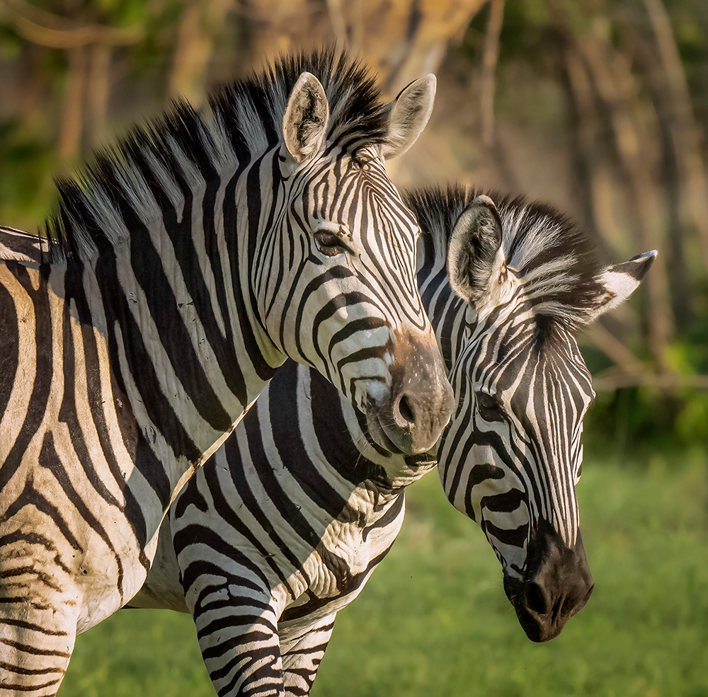 Botswana