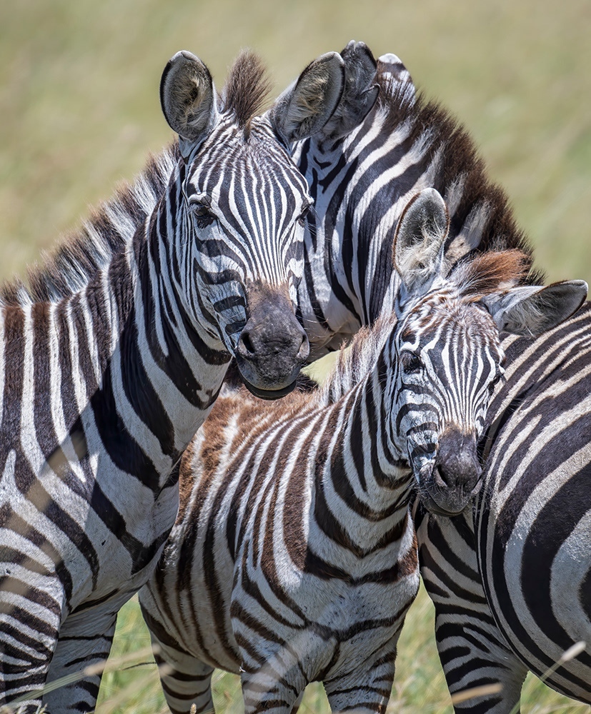Tanzania