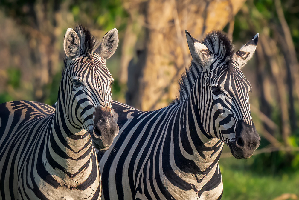 Botswana