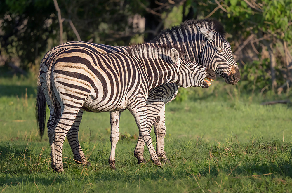 Botswana