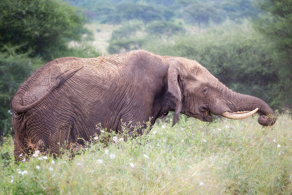 Reaching for More, Tanzania