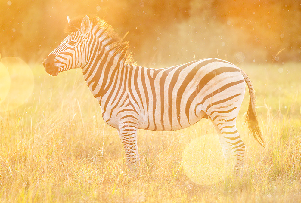 Botswana