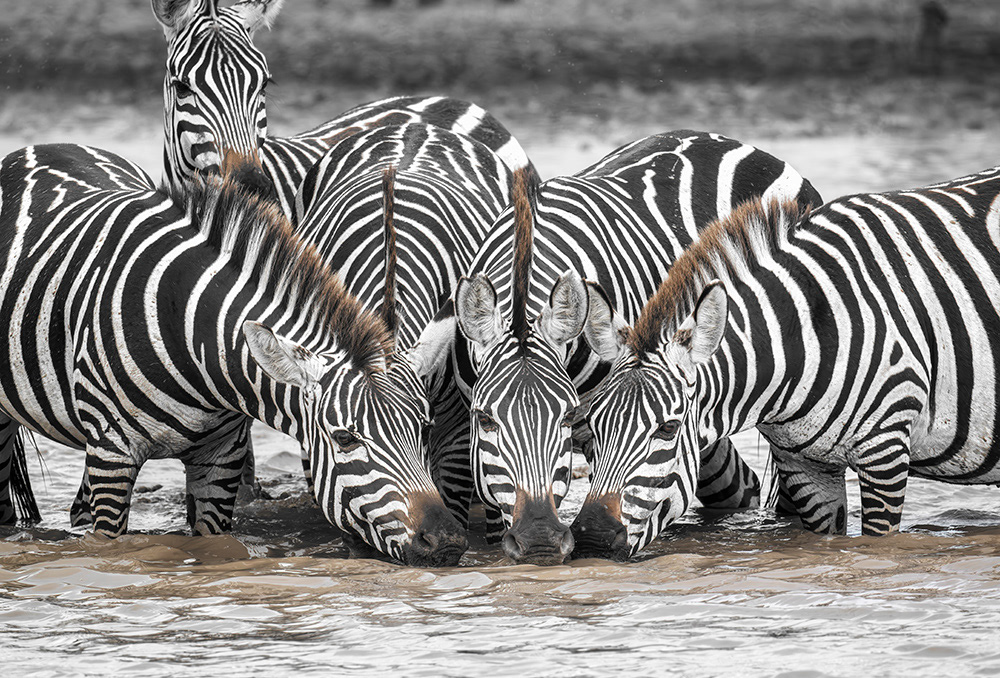 Tanzania