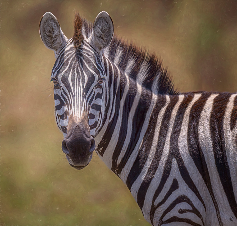 Kenya