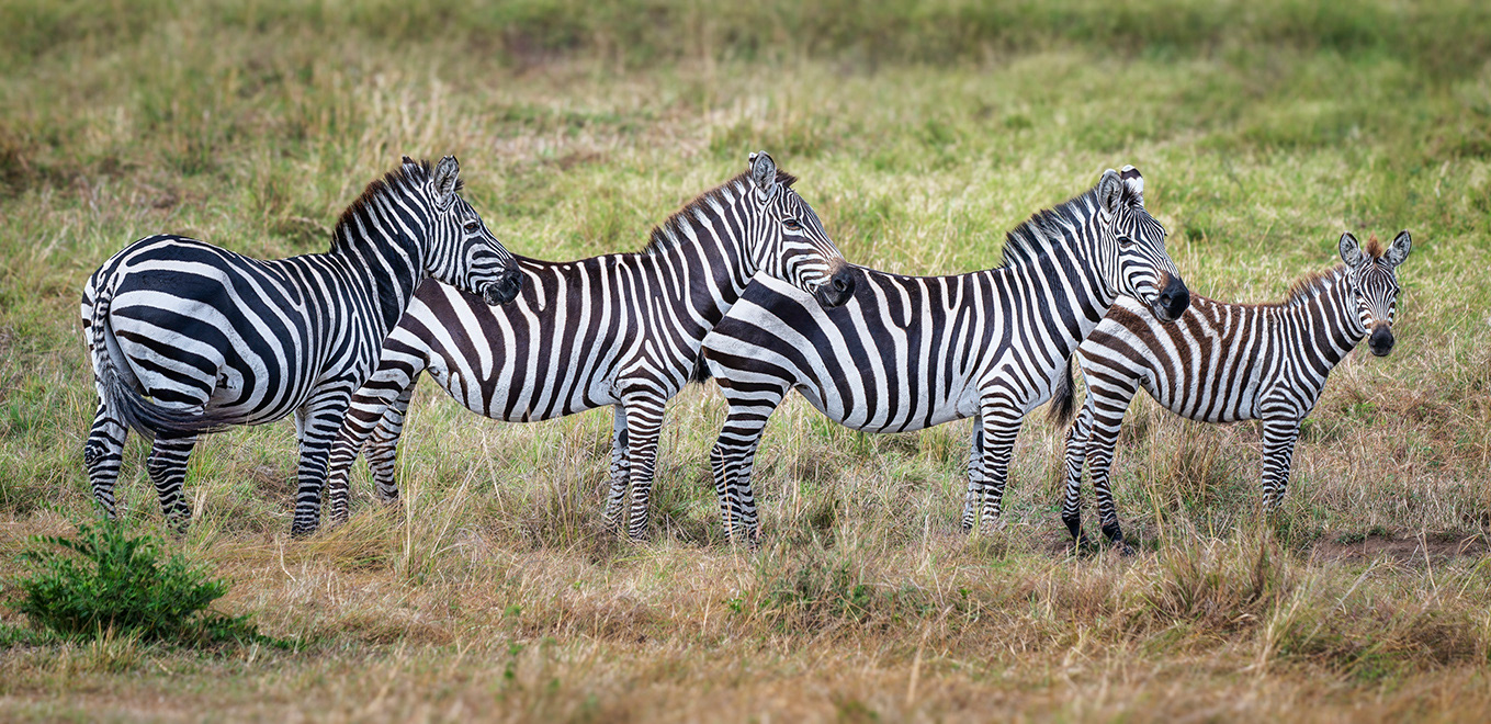 Kenya
