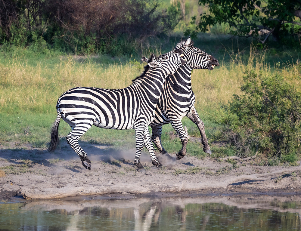 Botswana