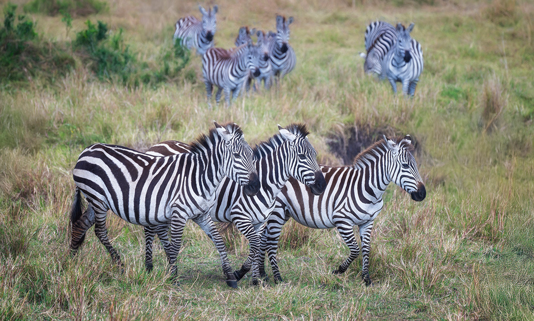Kenya