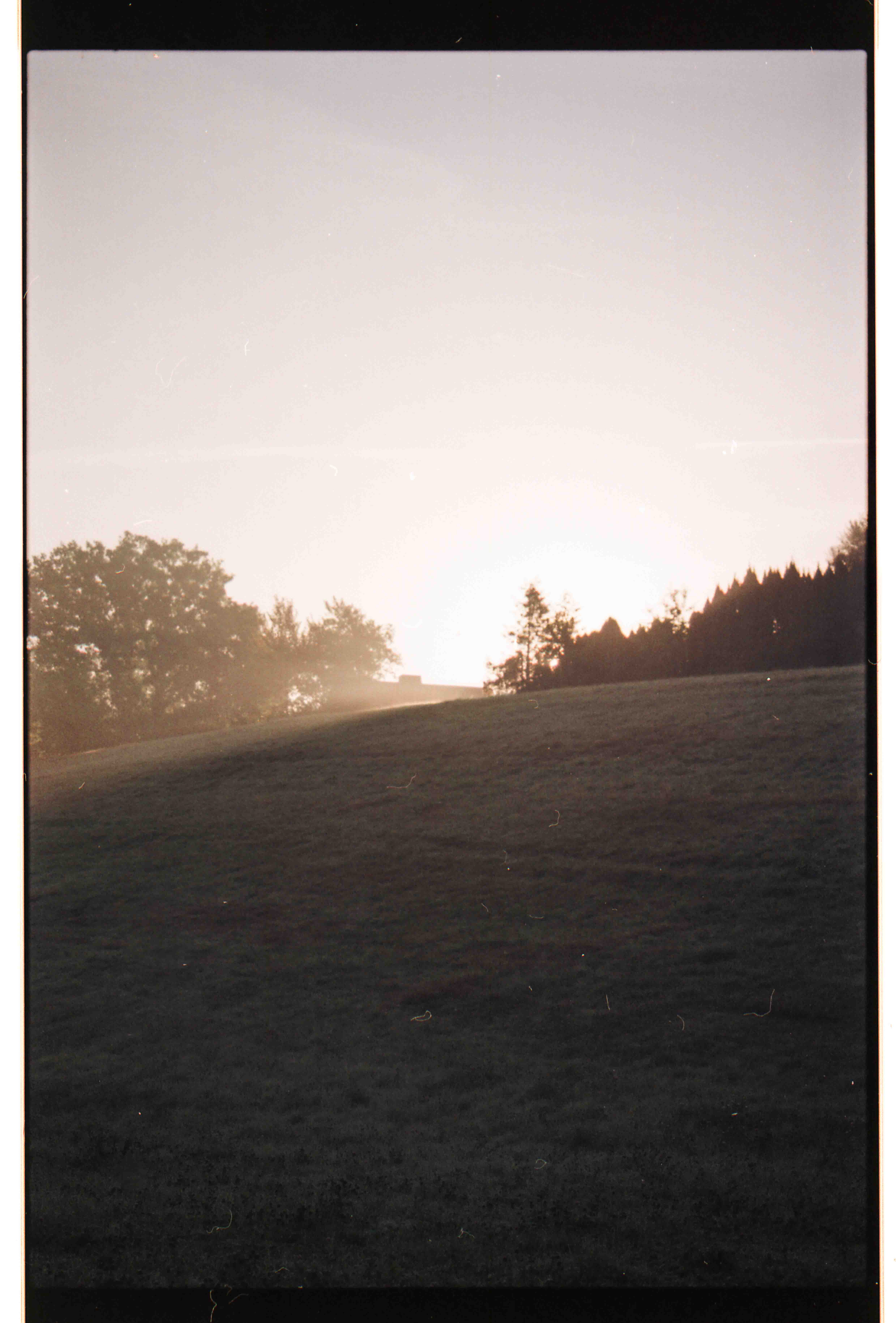 Dizzy. Sunrise, Summer 2022