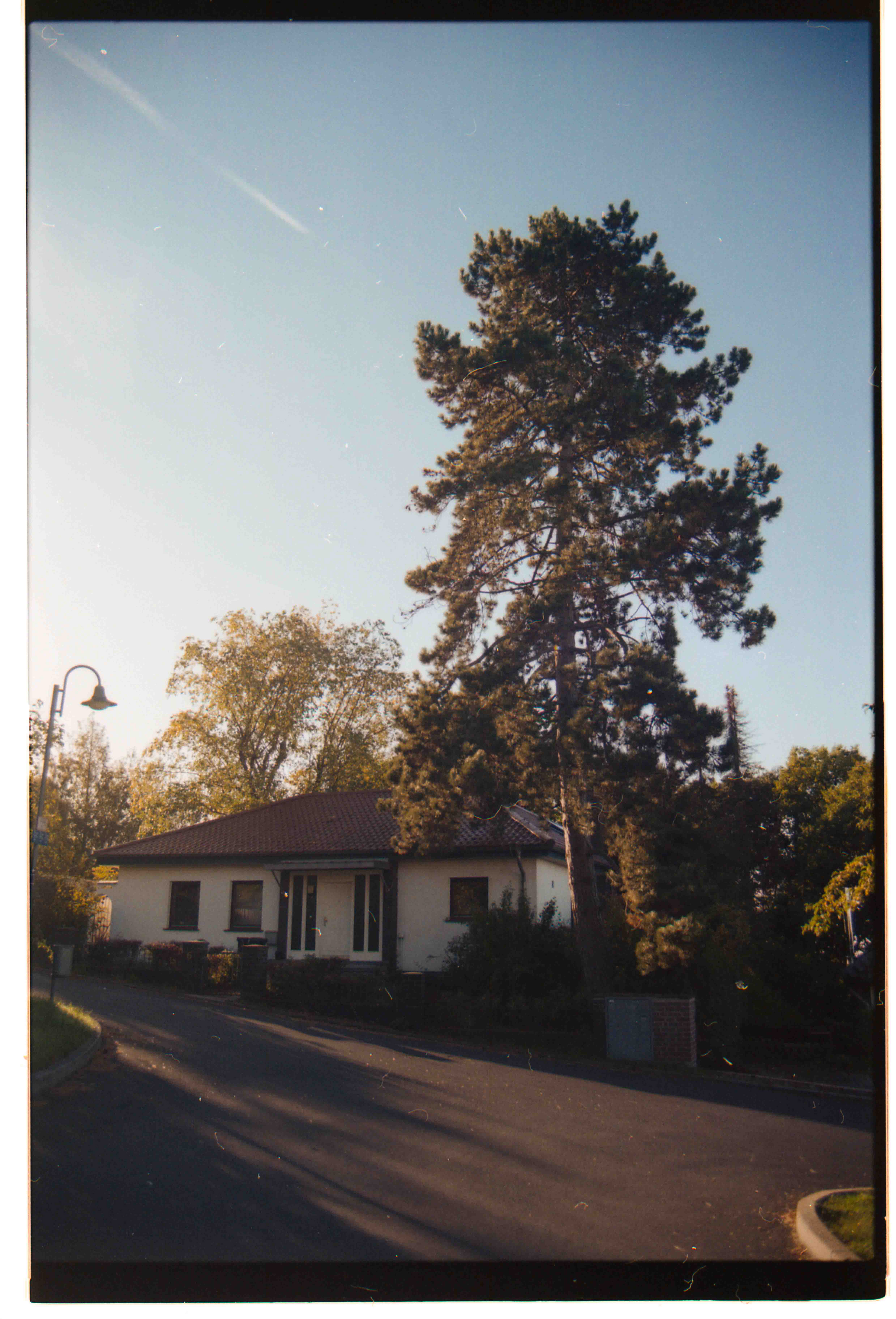 Old Cabin. Sunrise, Summer 2022