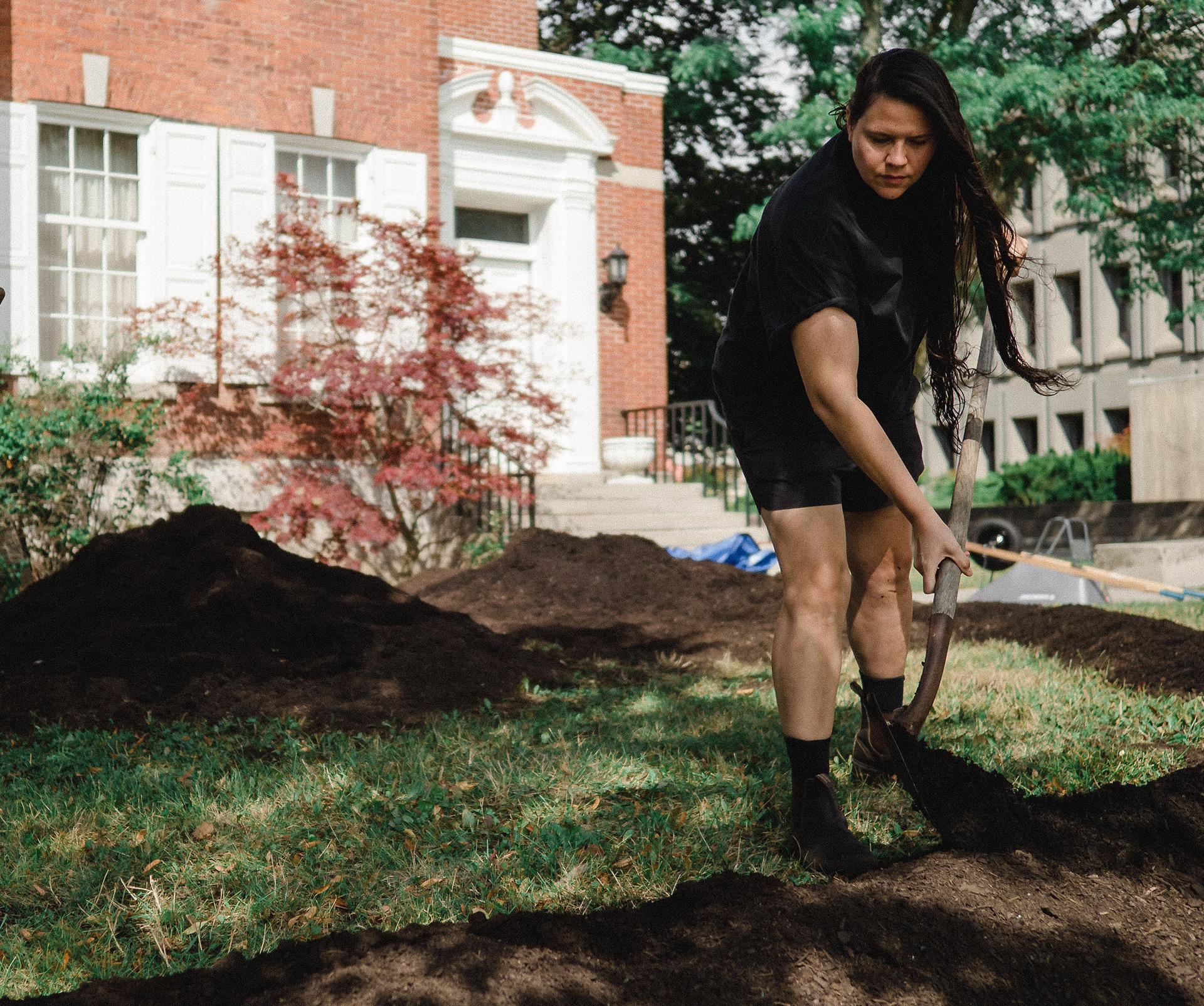 Install of Dark Matter Garden