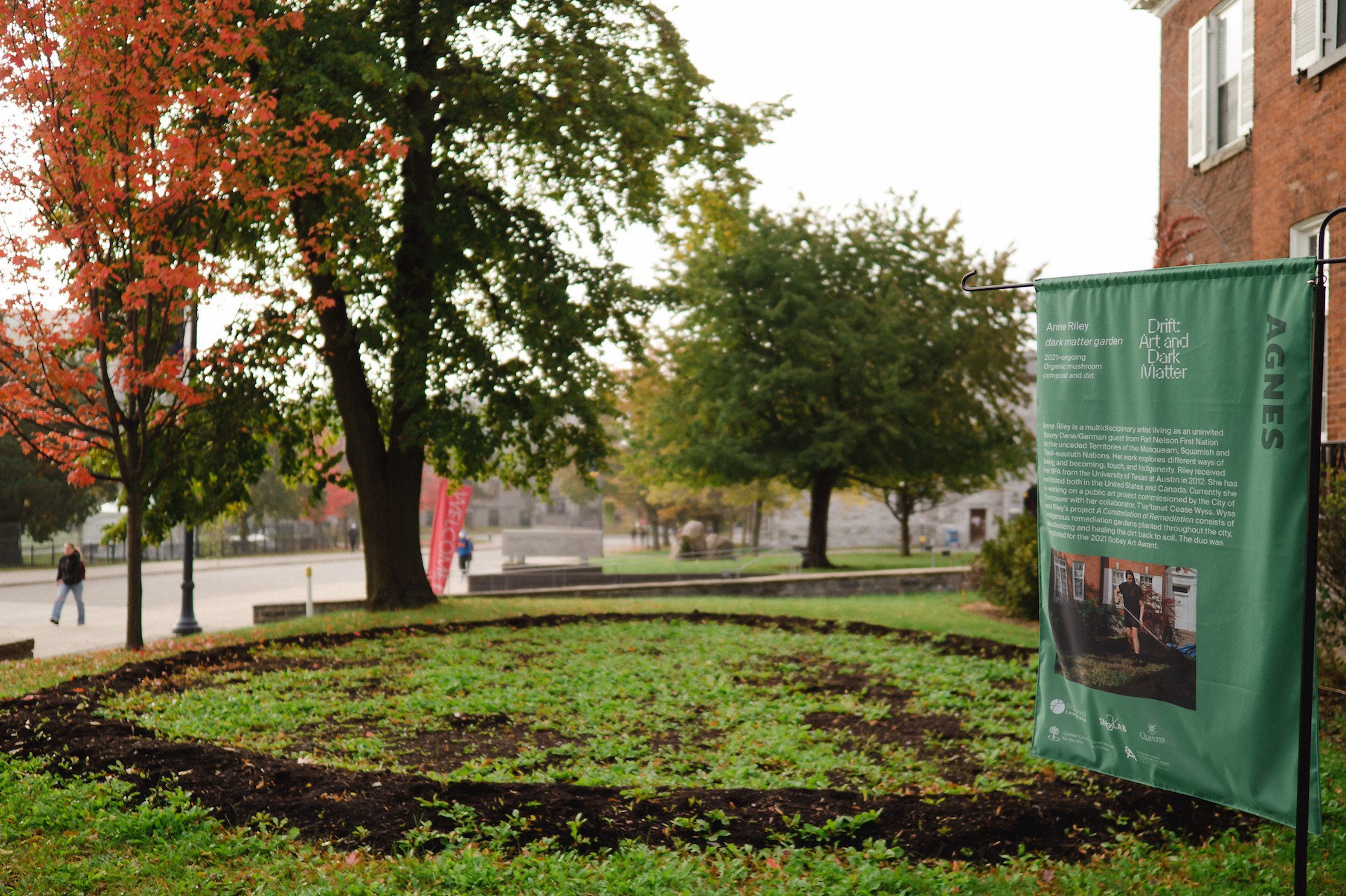 Anne Riley, "dark matter garden," 2021–ongoing, organic mushroom compost and dirt. 