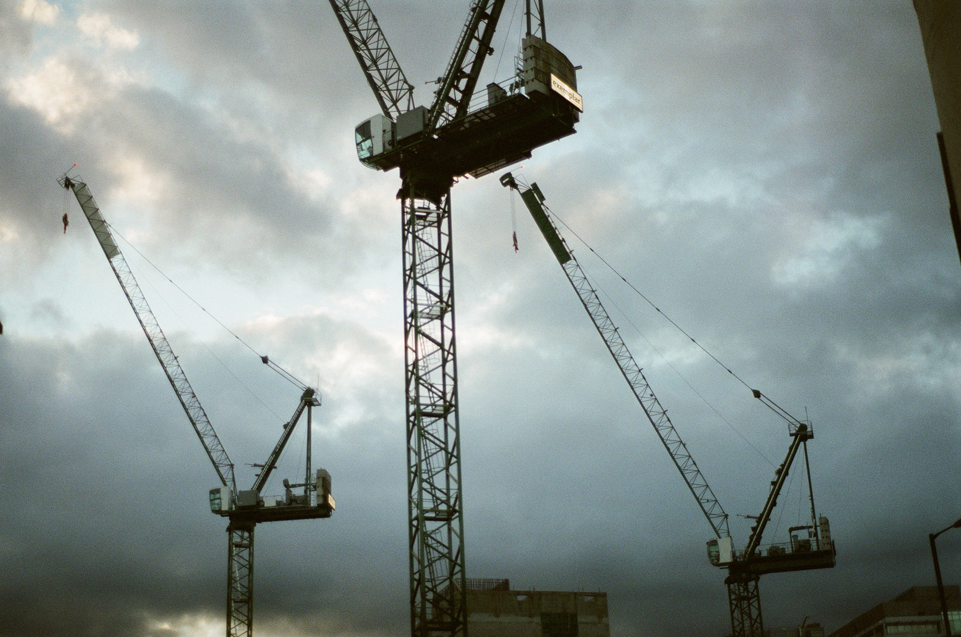 Grues - I