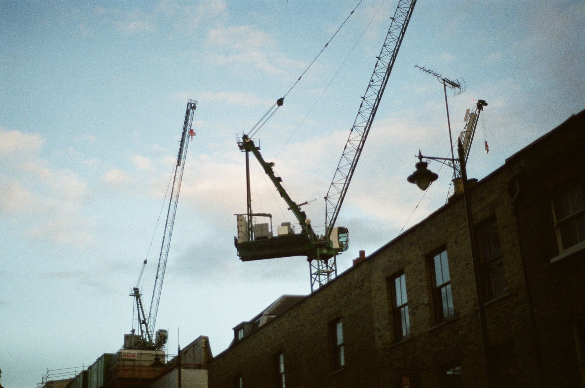 Grues - II