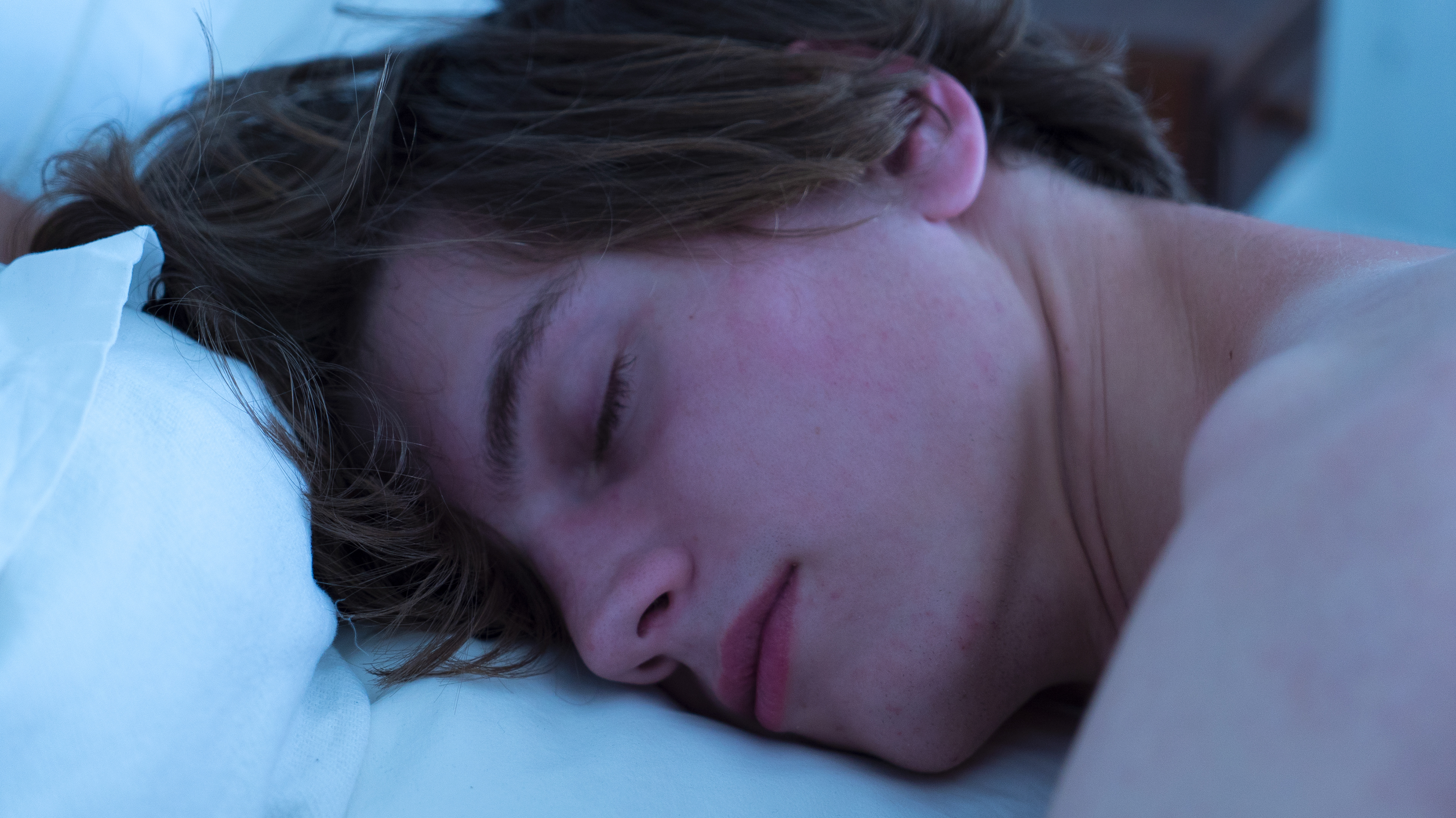 Sleeping Ludvig - I