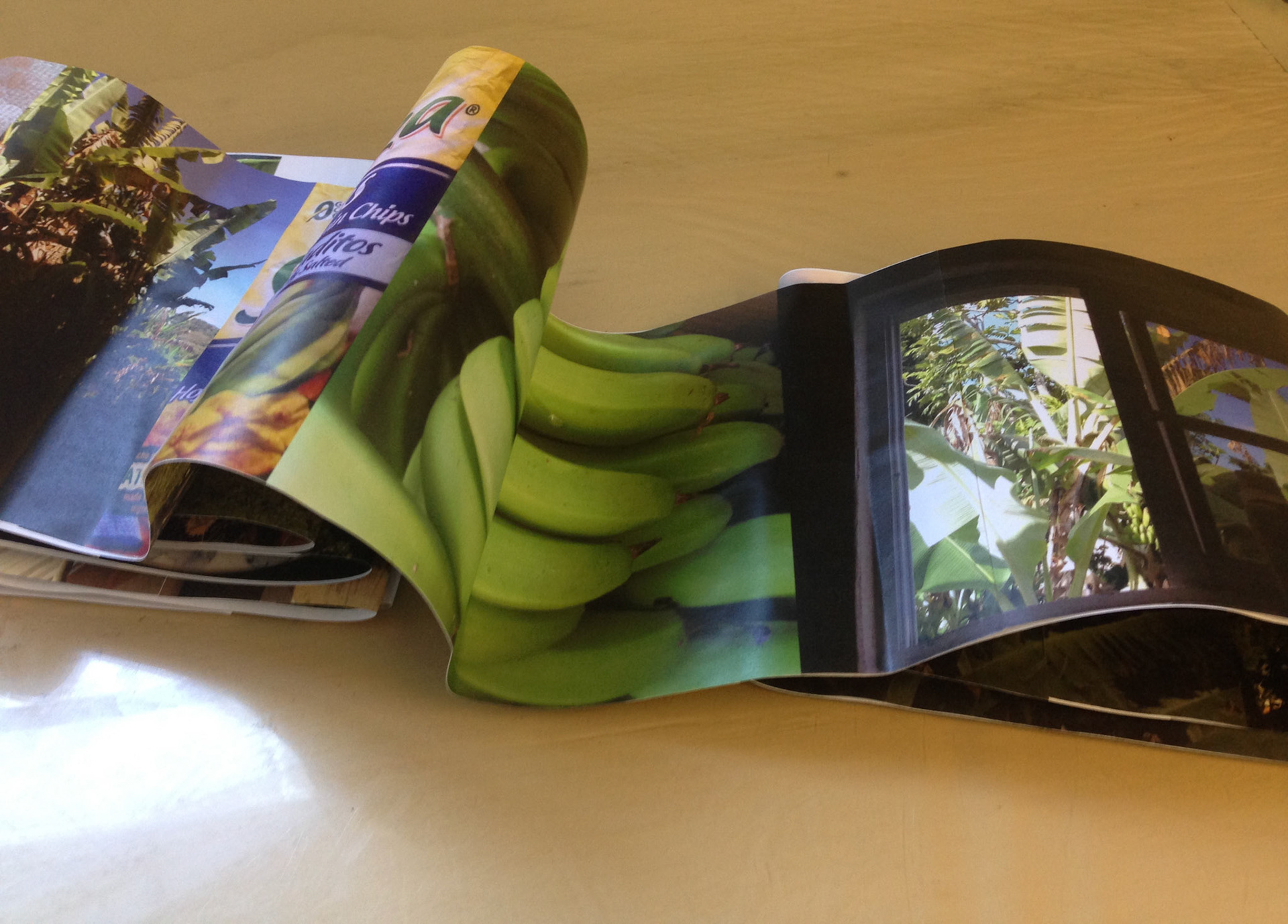 Banana Leaf Book (found cover)