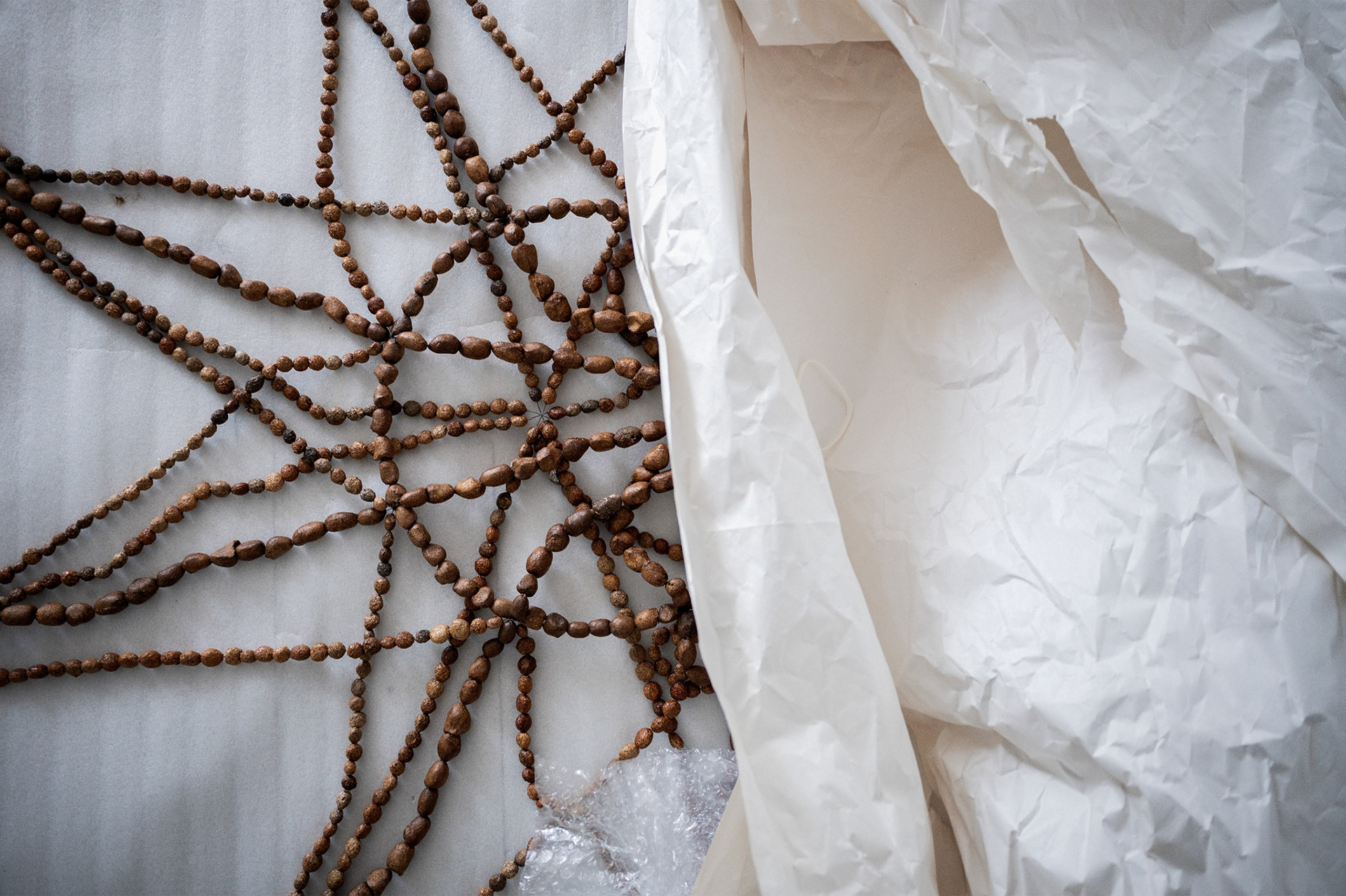 Anni Rapinojan Luonnonvalojen ripustus.