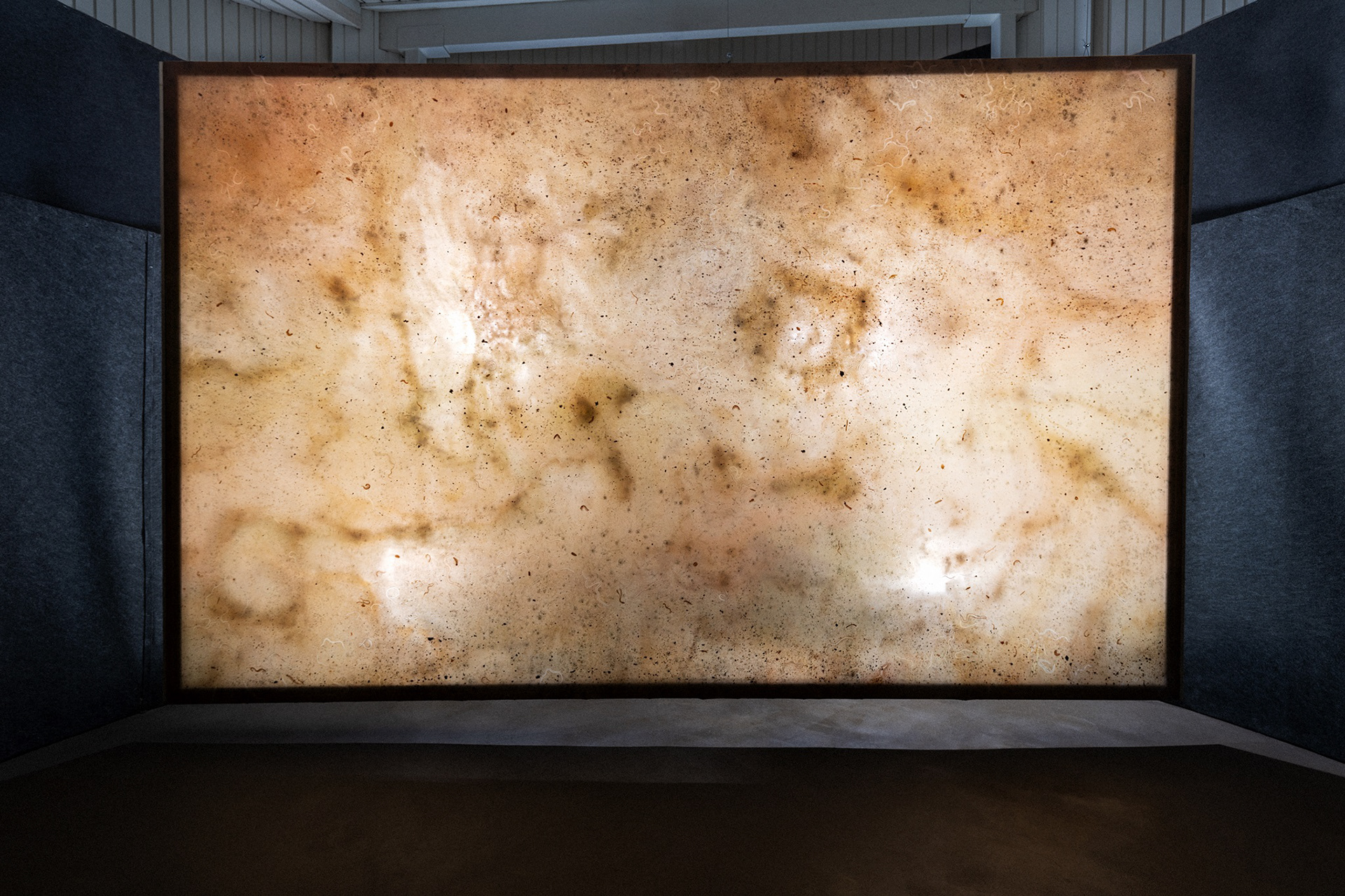 Alma Heikkilä: Found living in total darkness