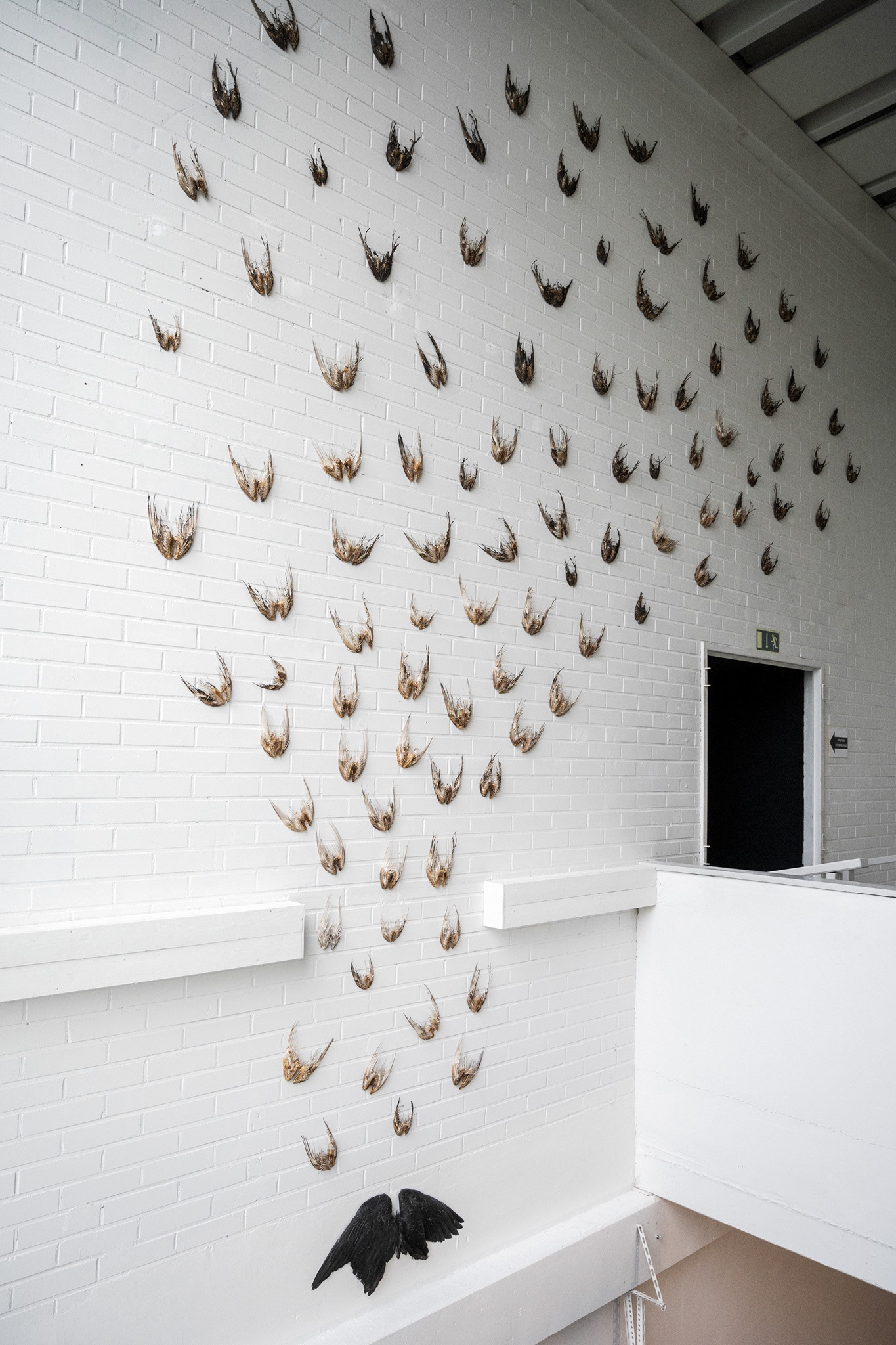 Anni Rapinoja: Ikaroksen lapset