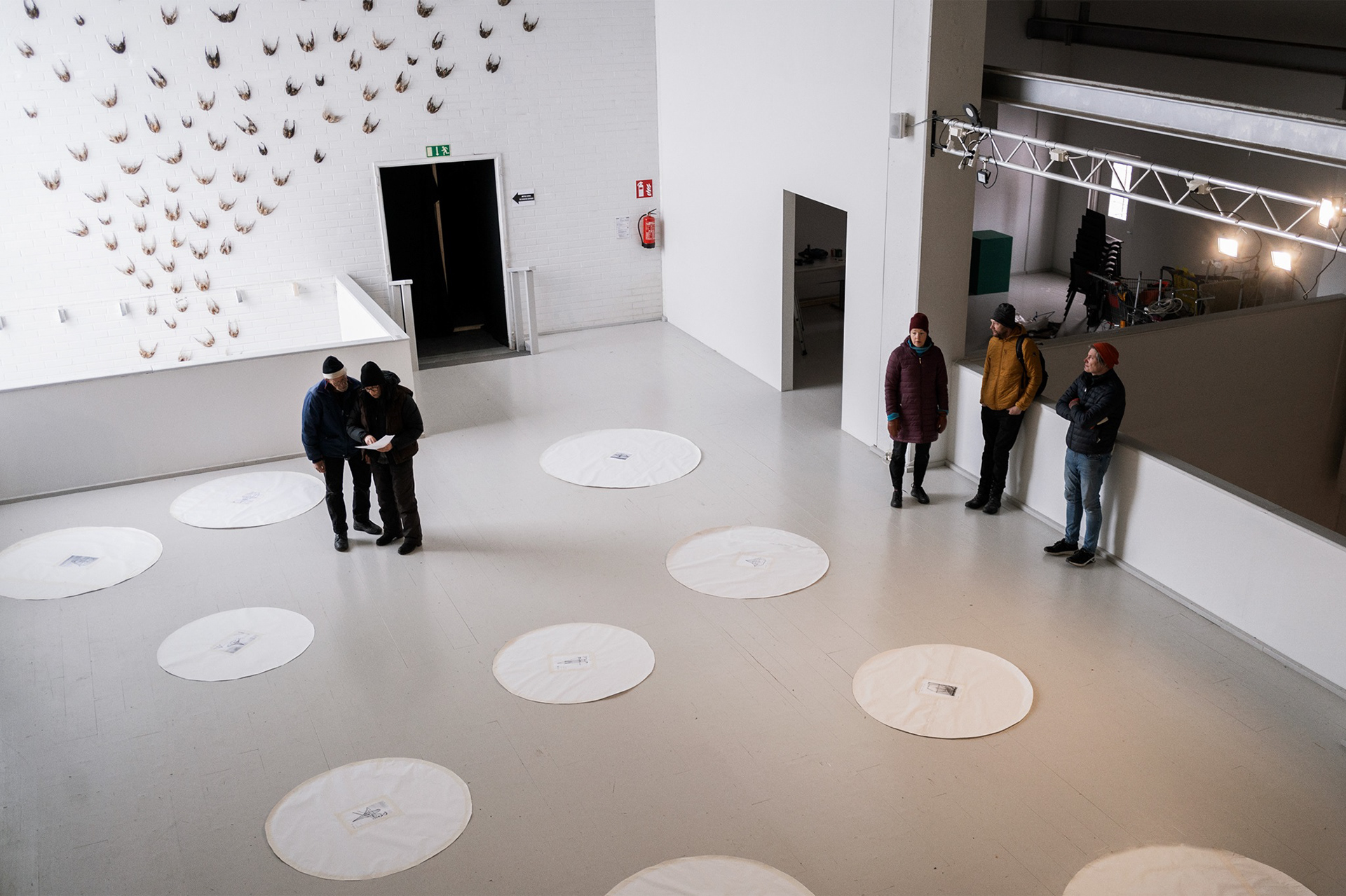 Anni Rapinojan Luonnonvalojen ripustus.