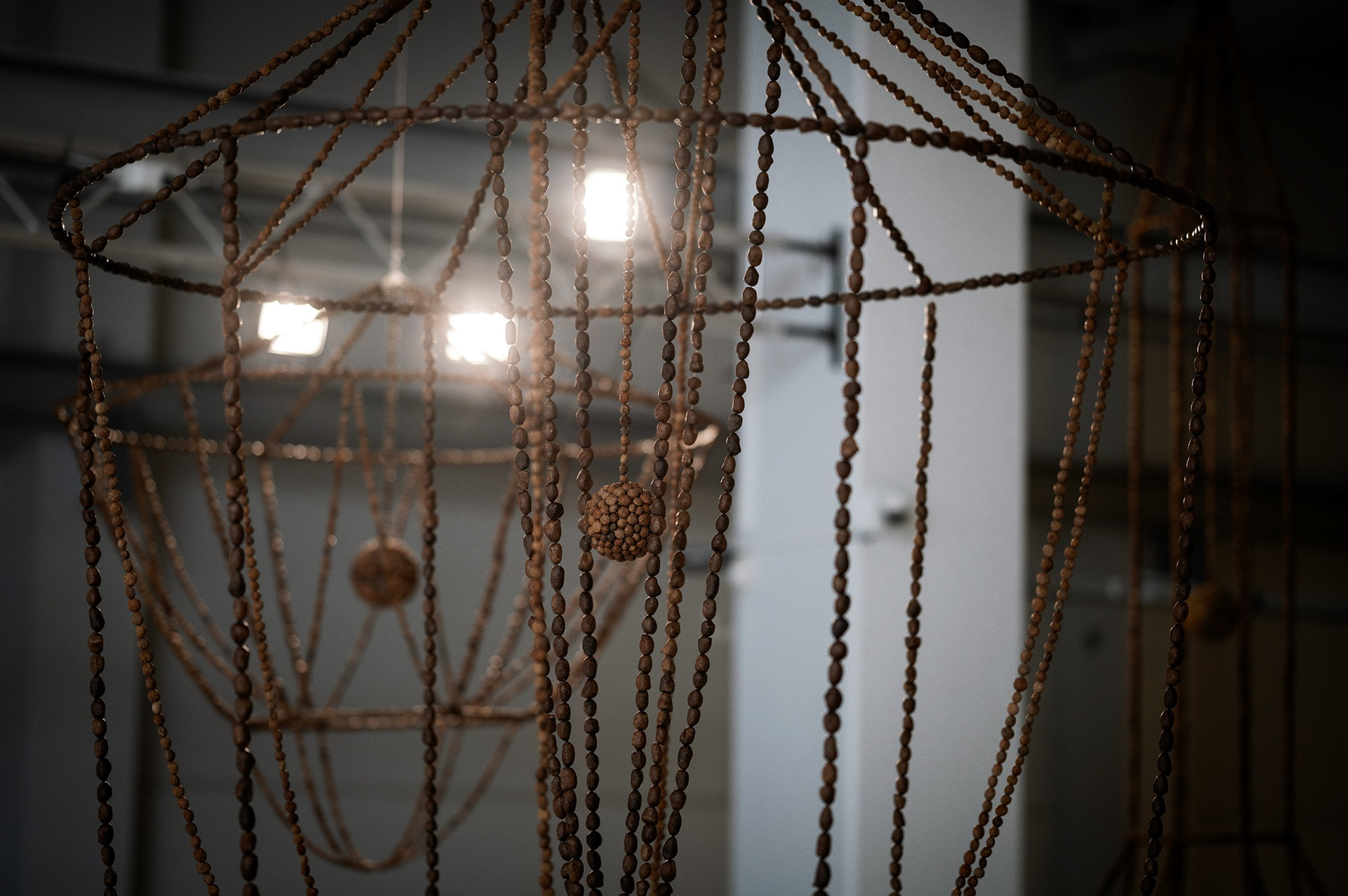 Anni Rapinoja: Luonnonvalot