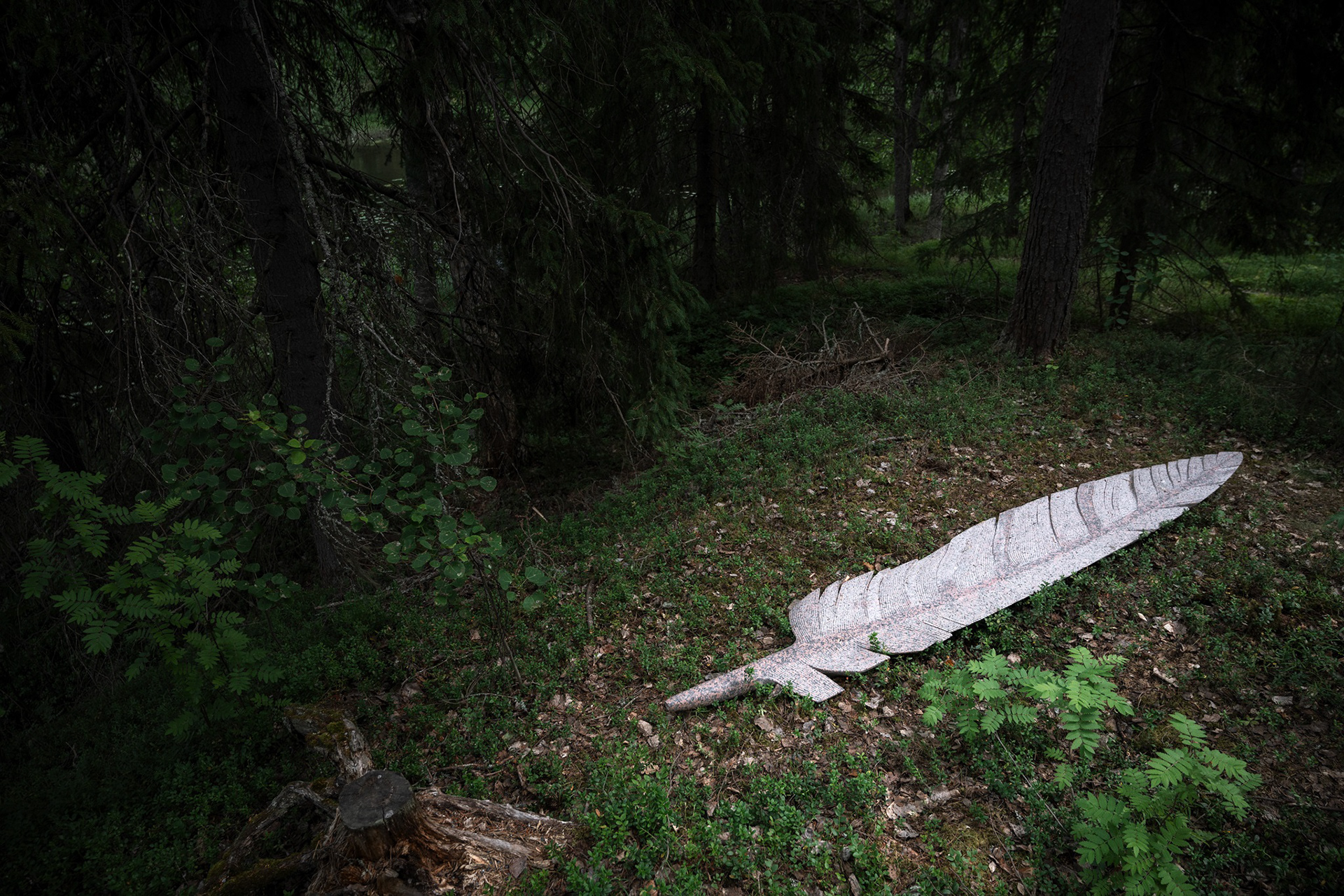 Timo Hannunen: Maasta löydetty