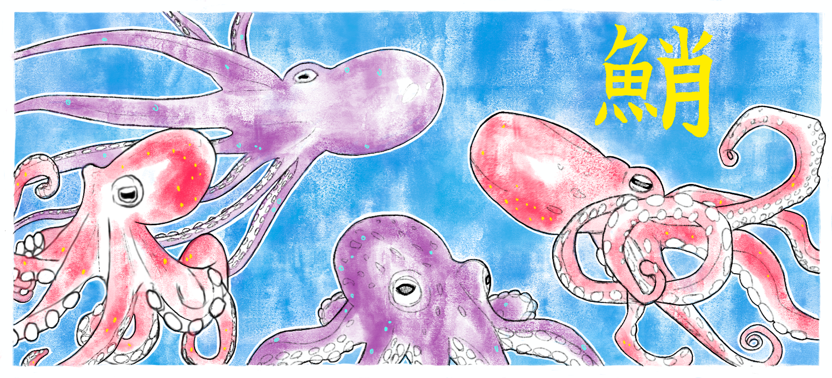 Octopus Magnet Design