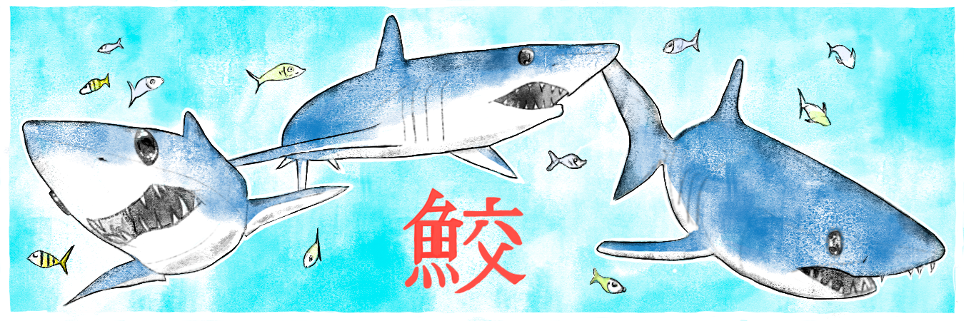 Shark KeyChain Design