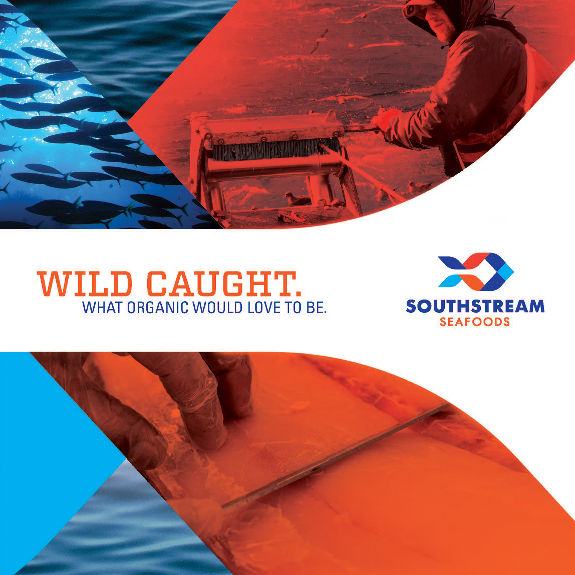 Southstream Seafoods Branding and Marketing Materials