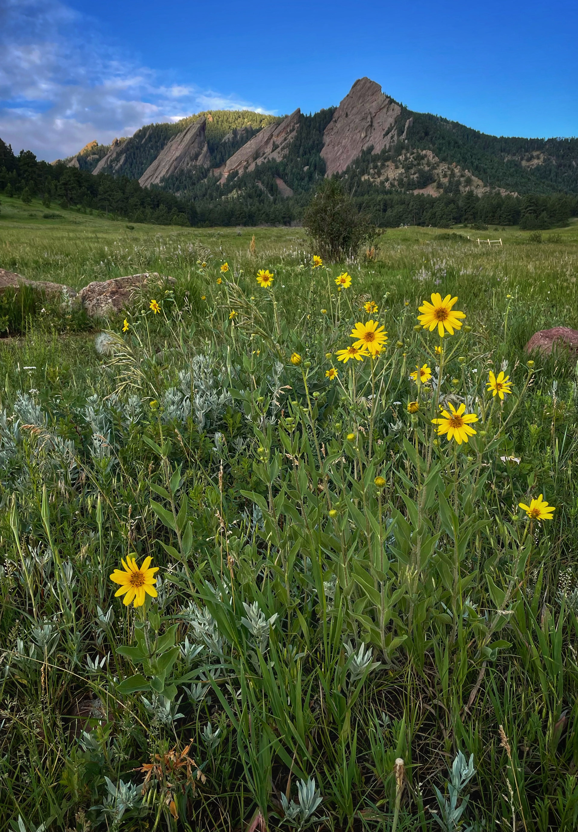 Chautauqua Park, Boulder, Colorado