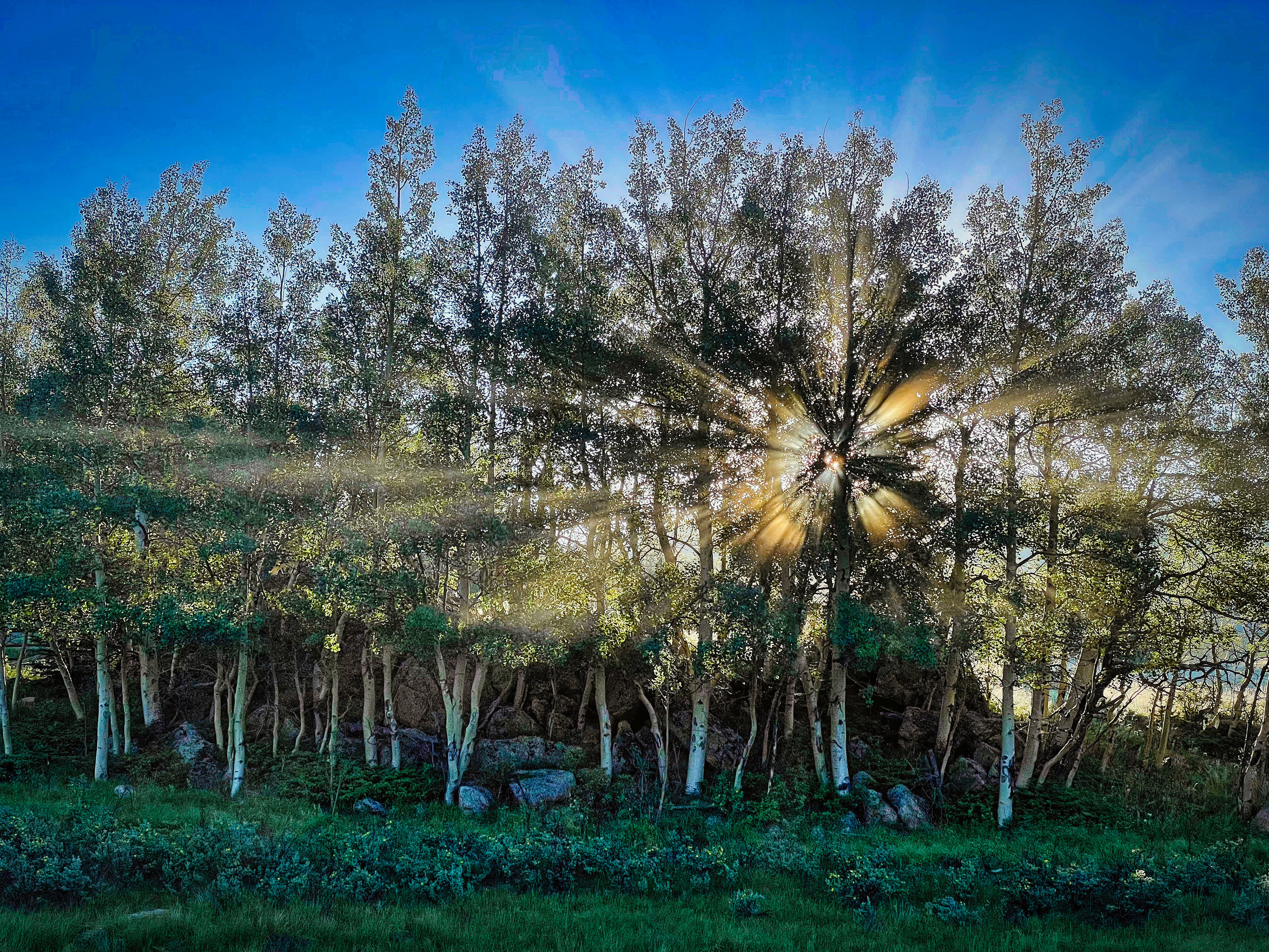 Kenosha Pass, Colorado