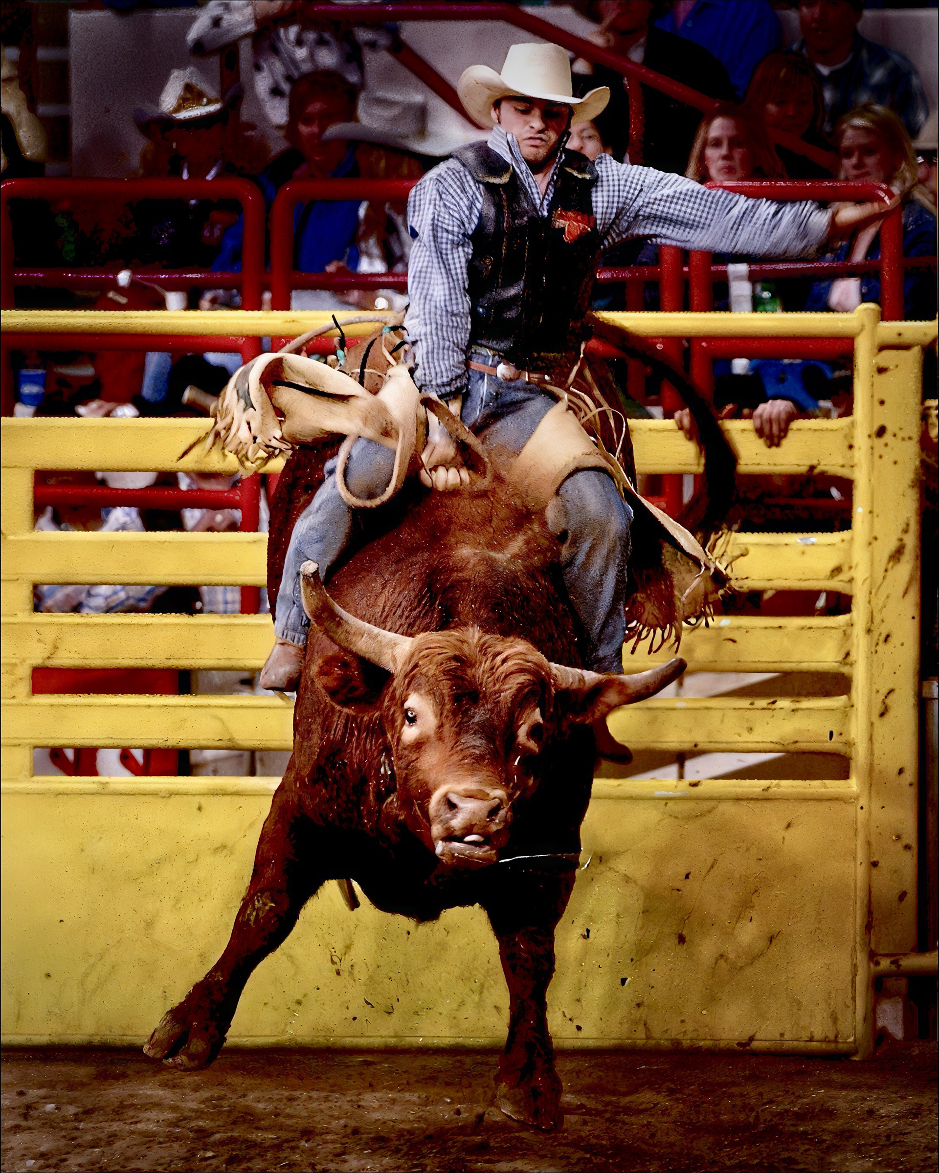 Bull Rider