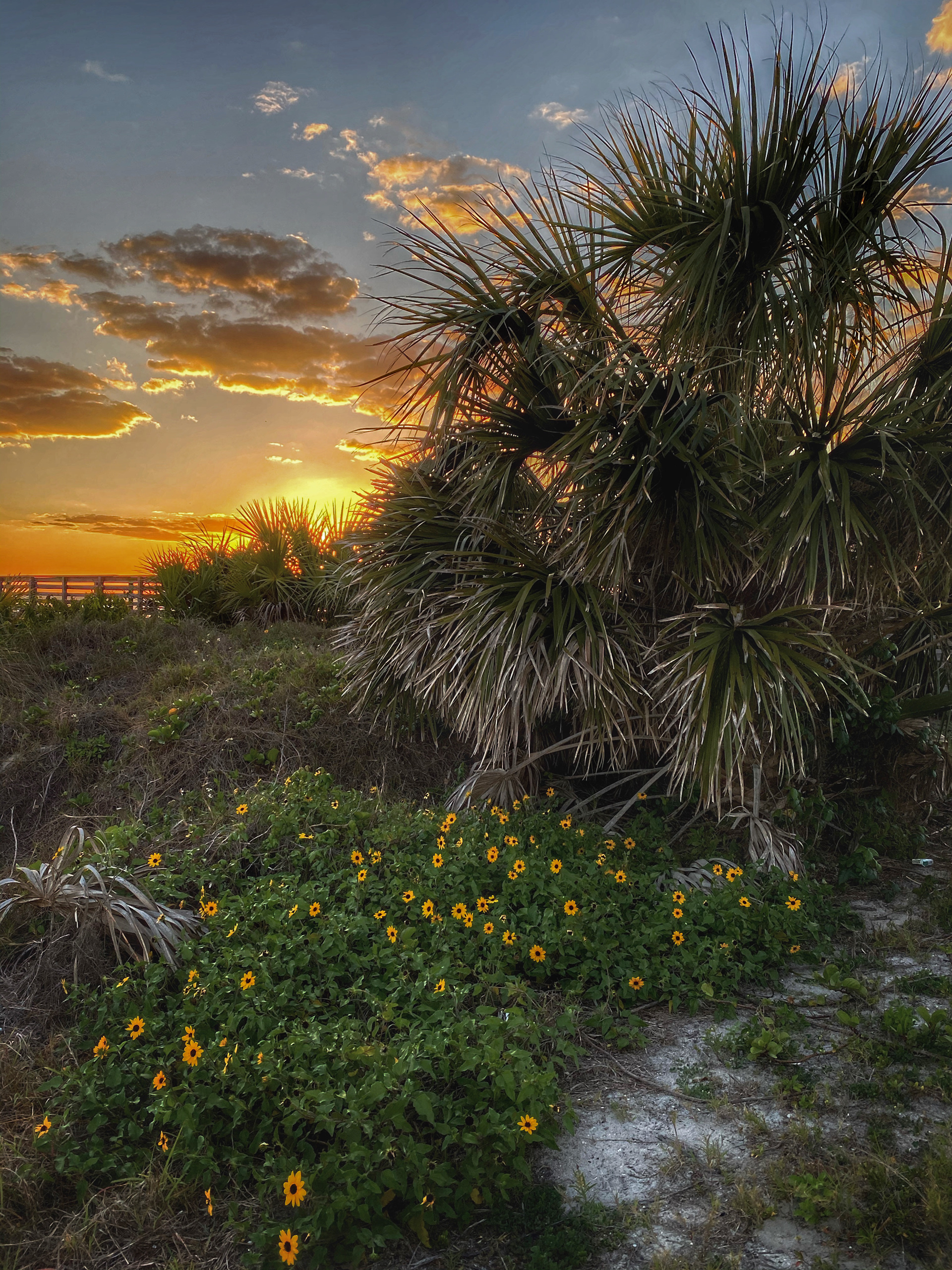 Honey Moon Island, Florida