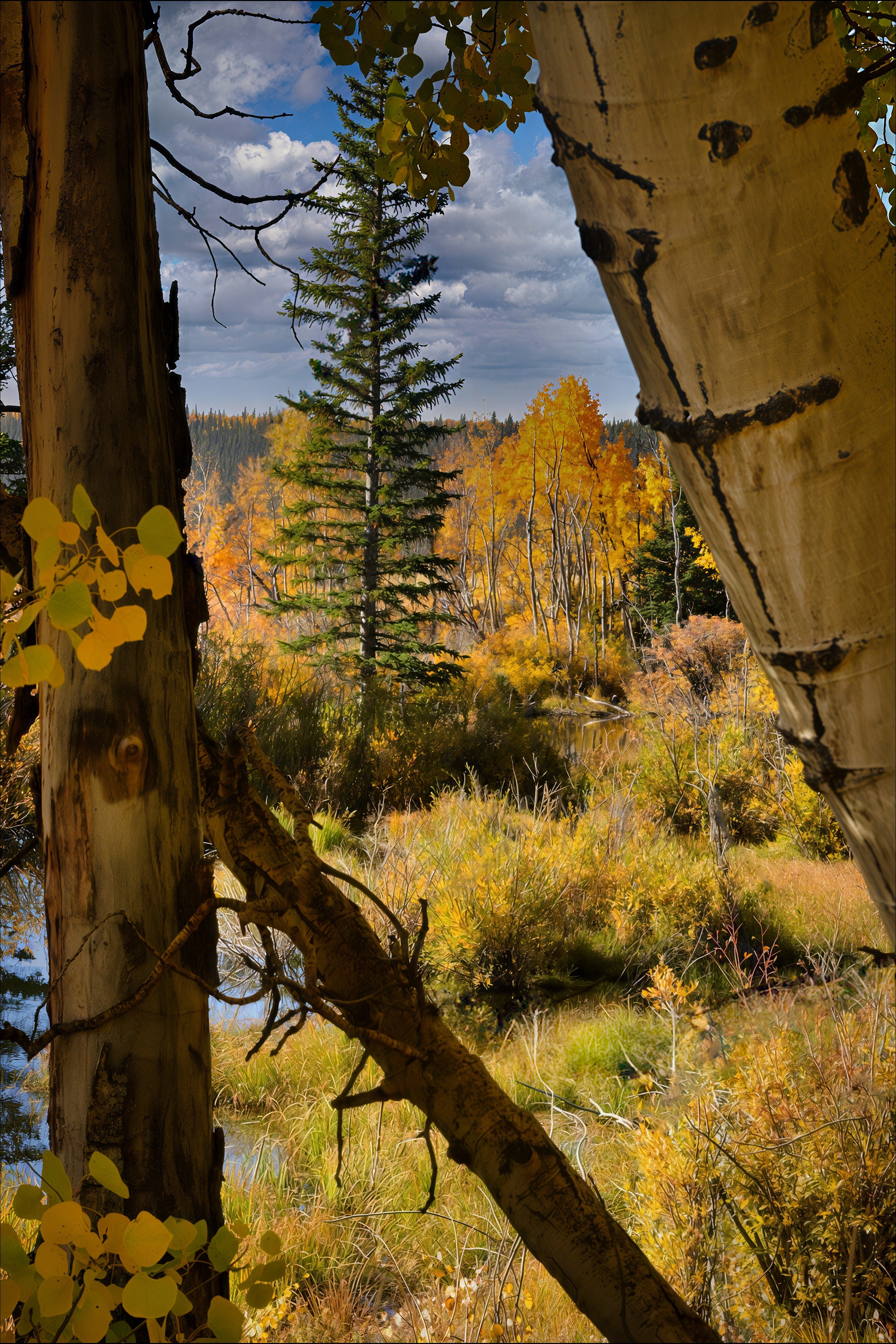 Aspen, Colorado