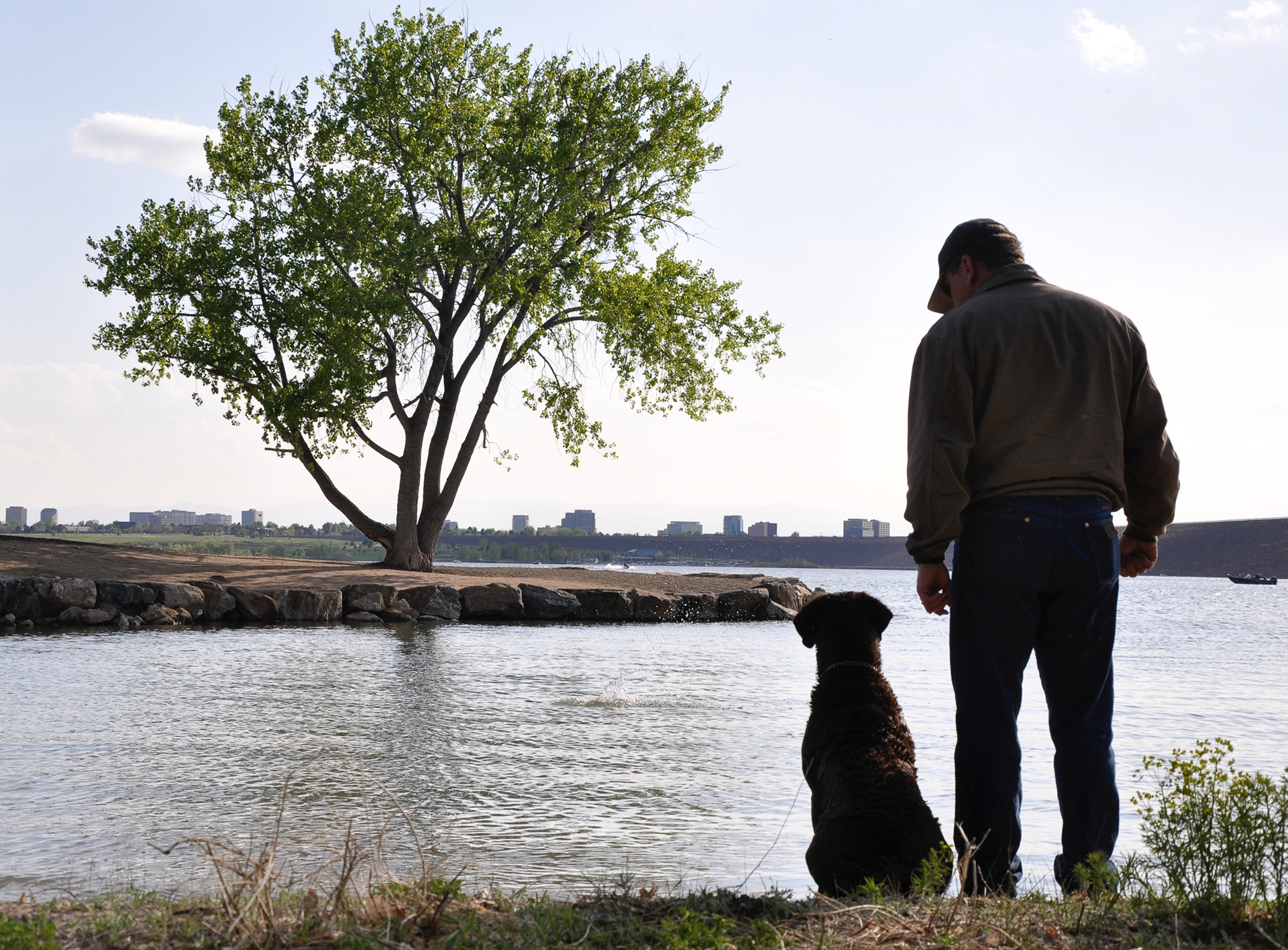 Trying dog at Cherry Creek State Park