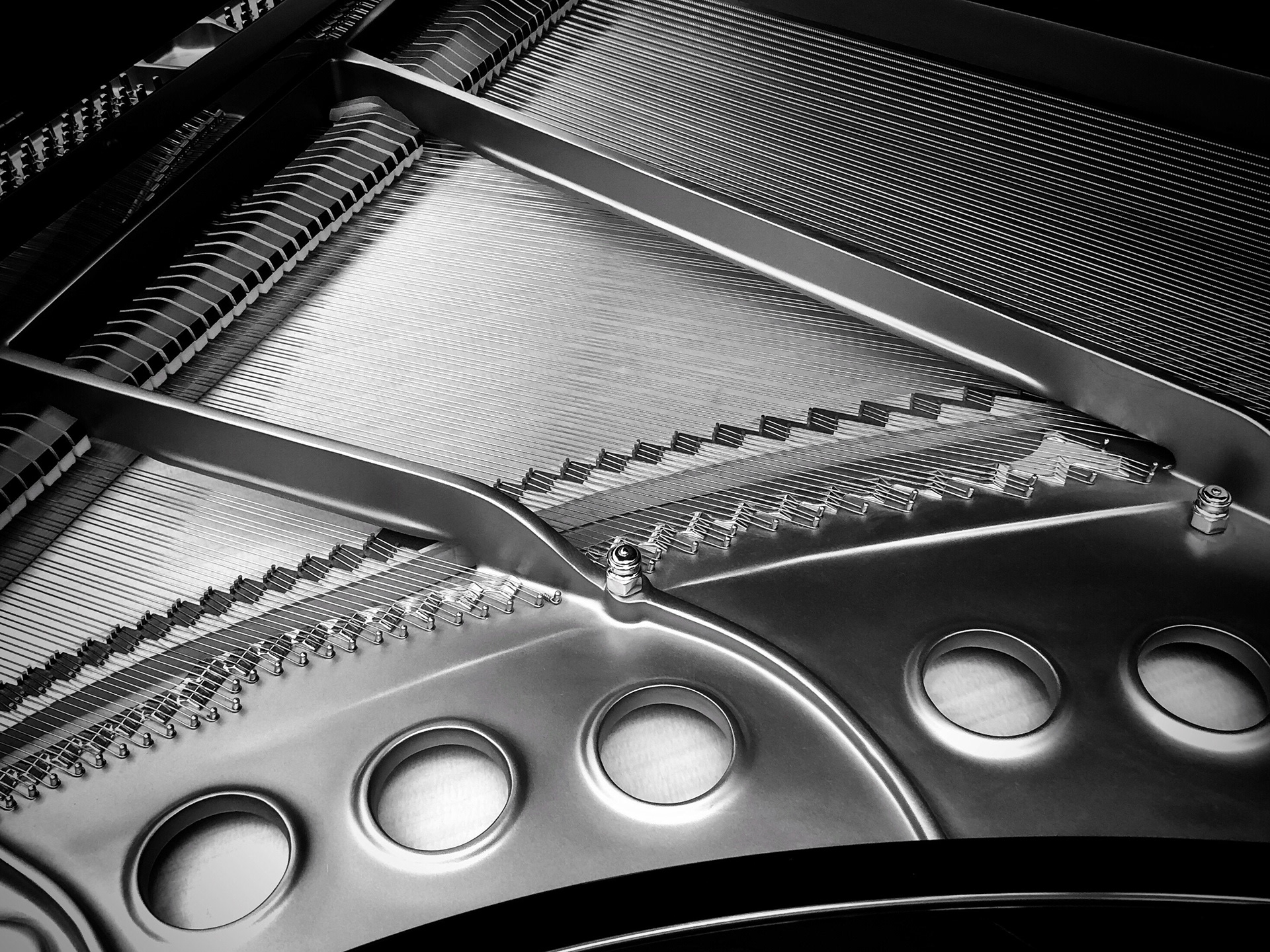 Interior of a Grand Piano