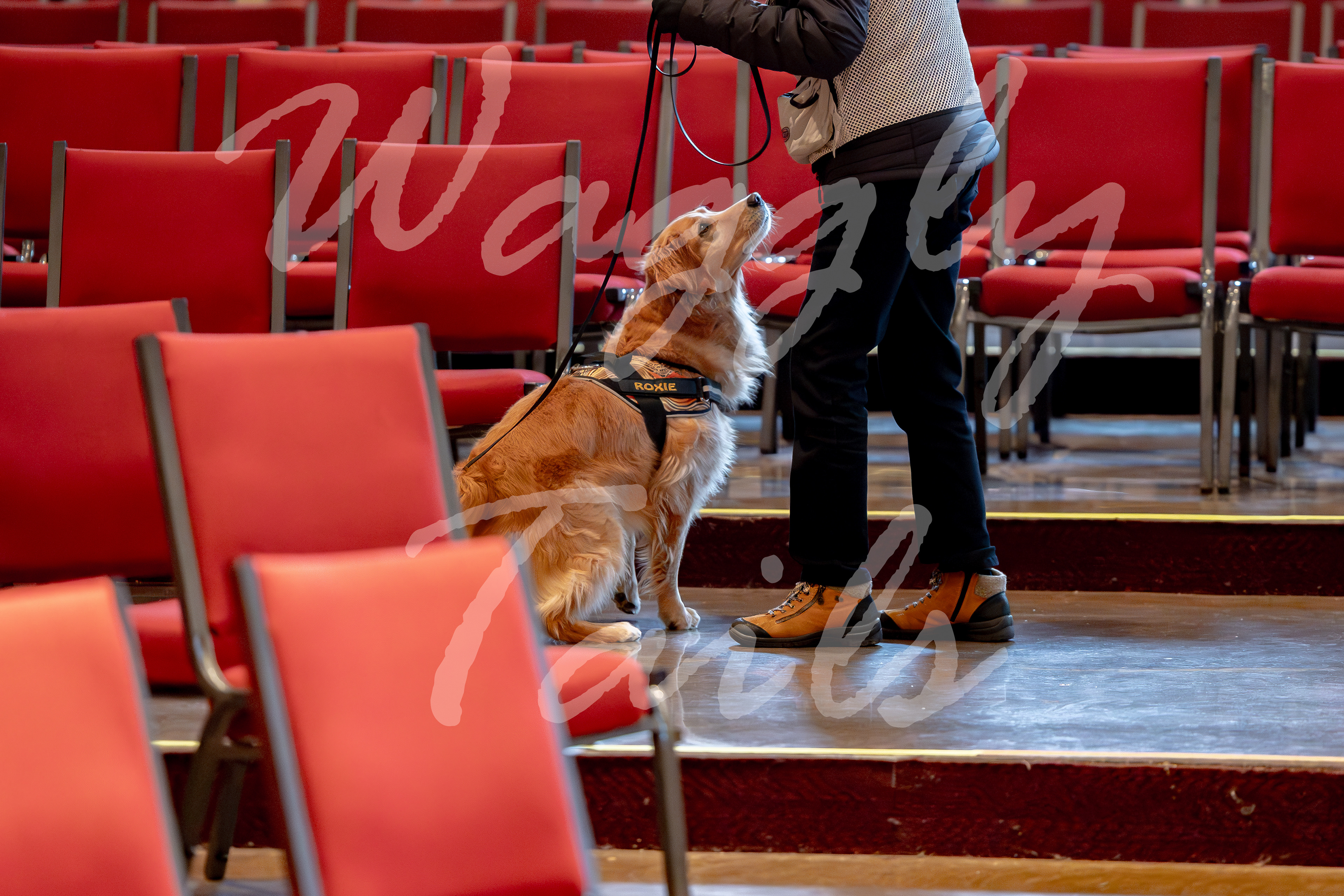 0082