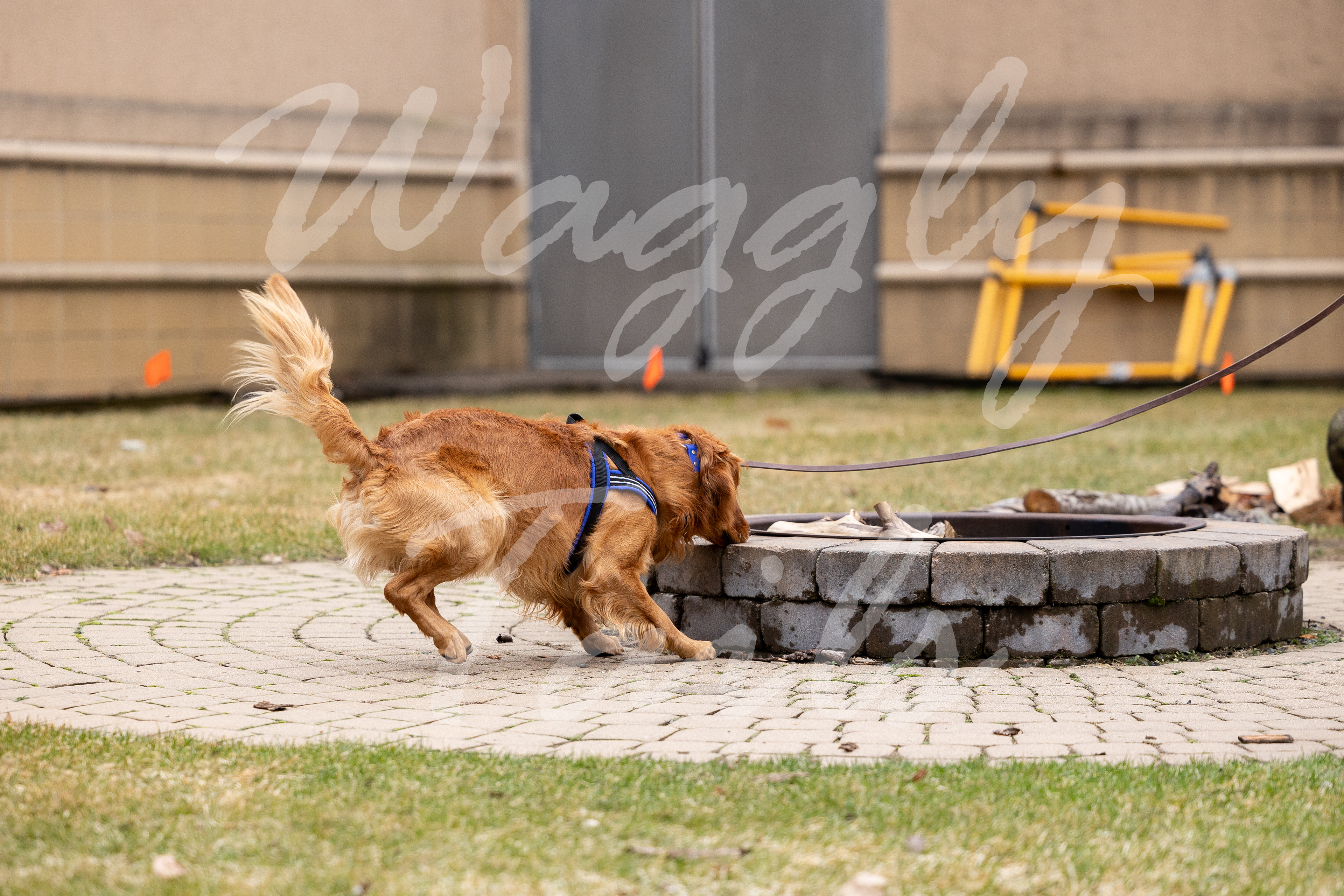 5306