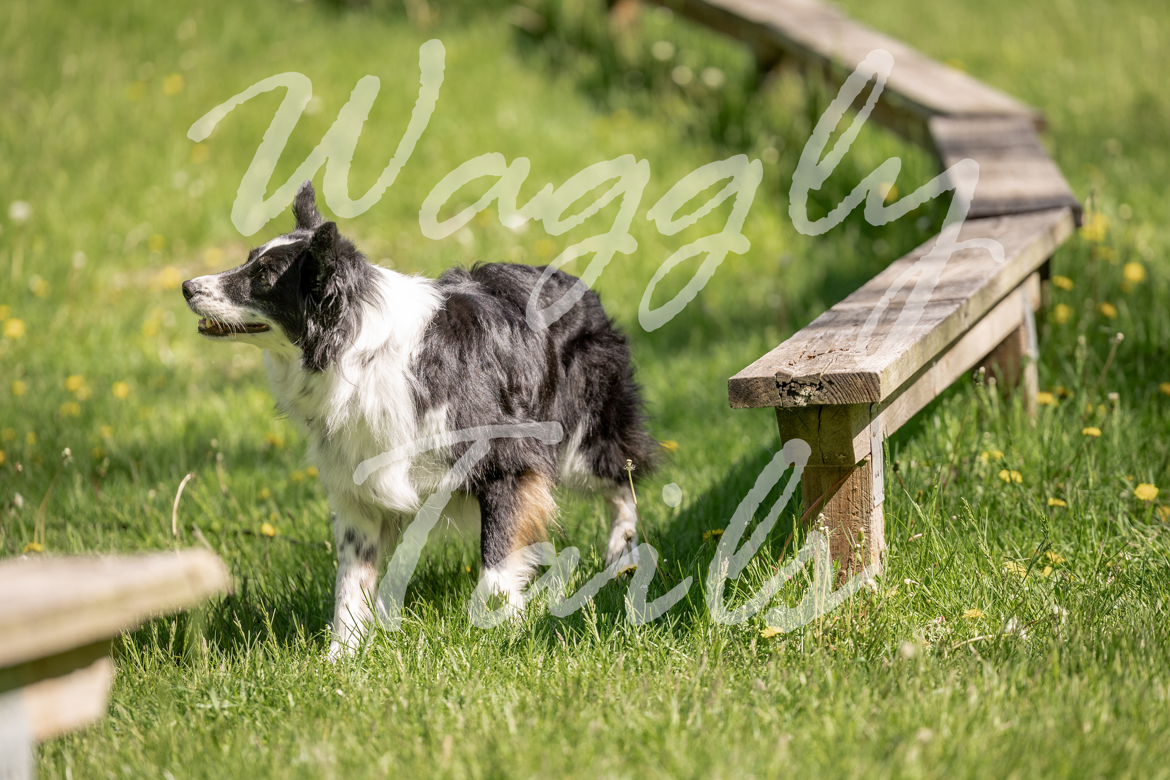 1118