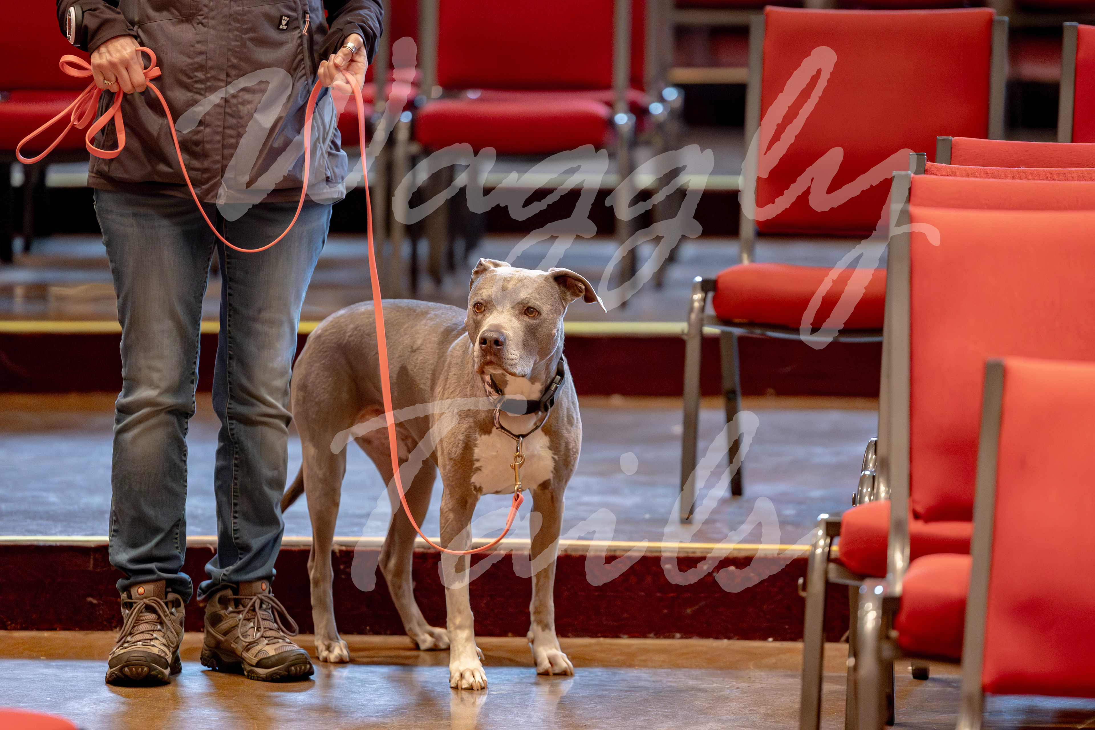 9458