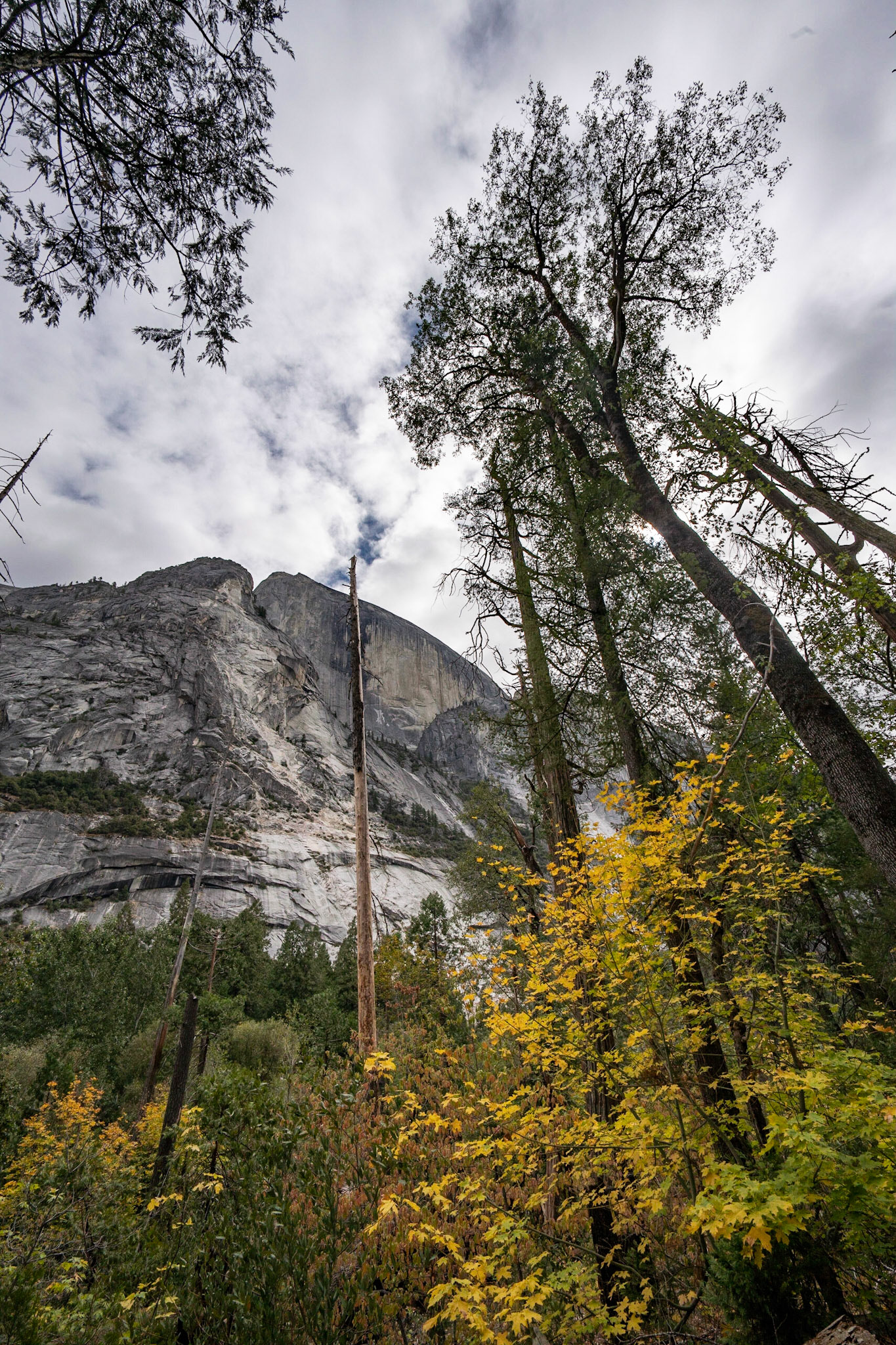 Yosemite NP, CA
