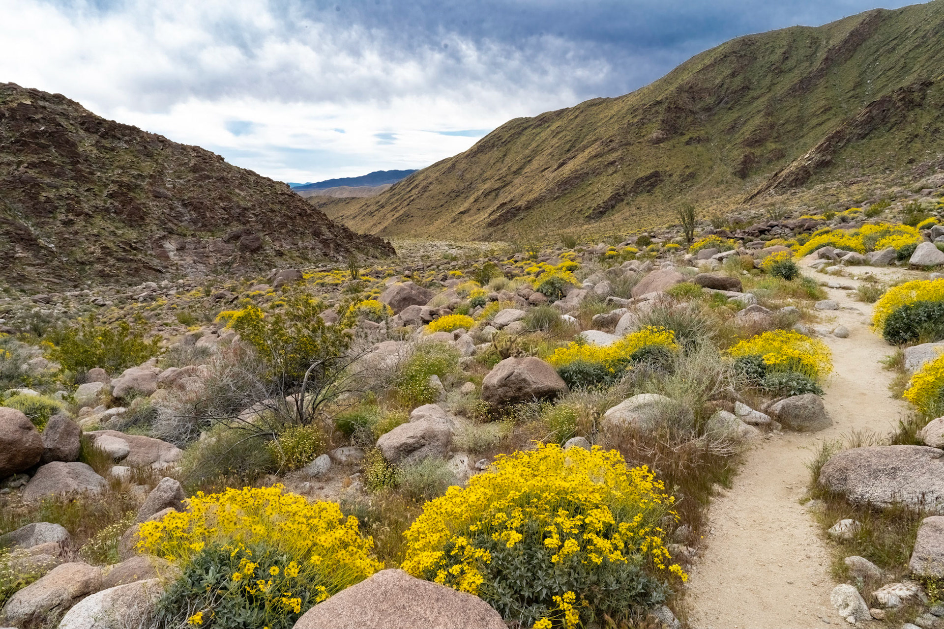 Borrego Springs, CA